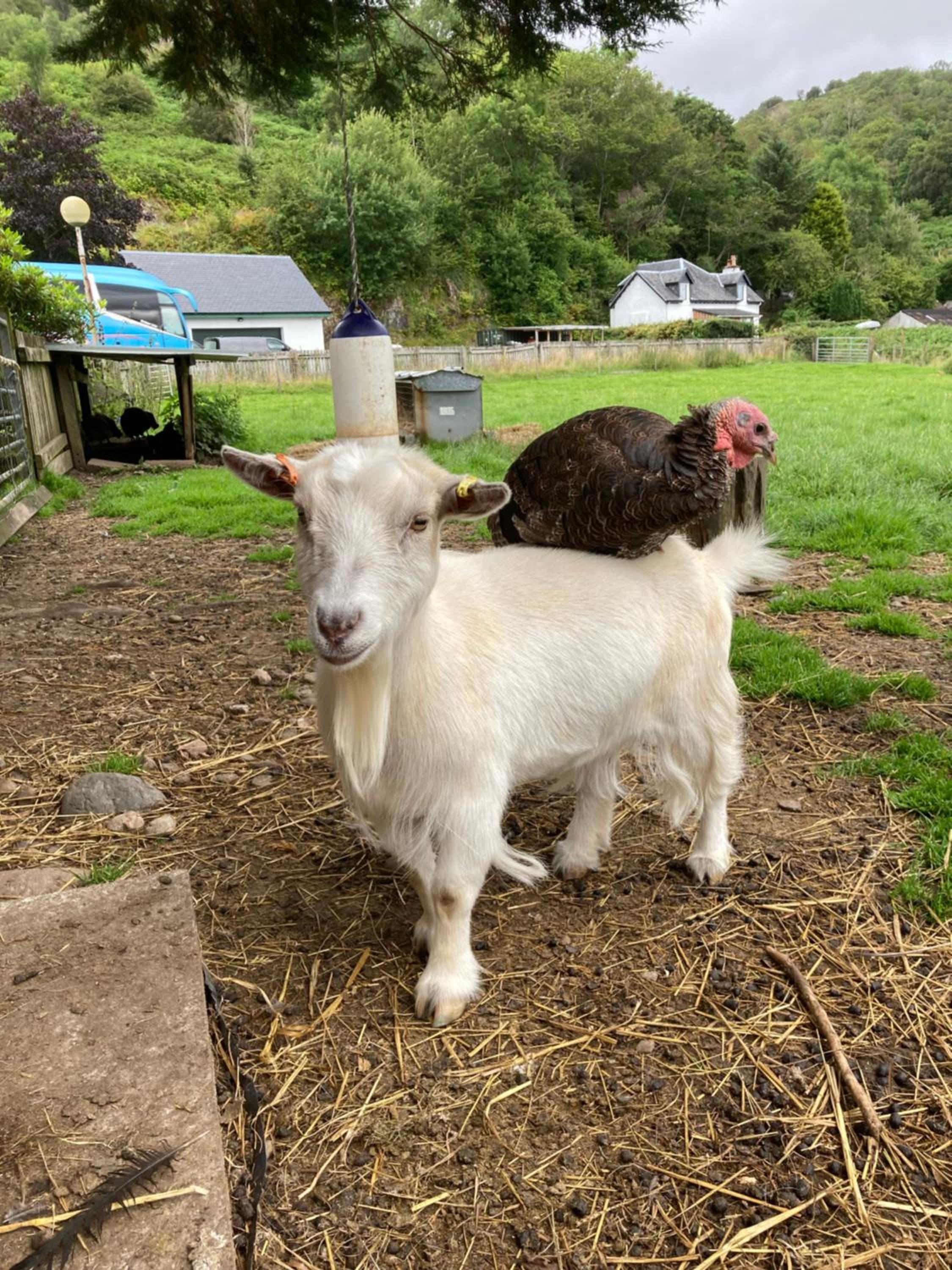 Photo 28