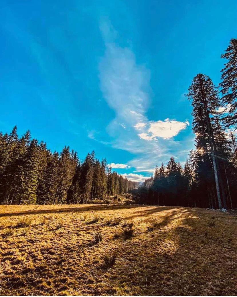 Apartman Wanderlust-Ravna Planina