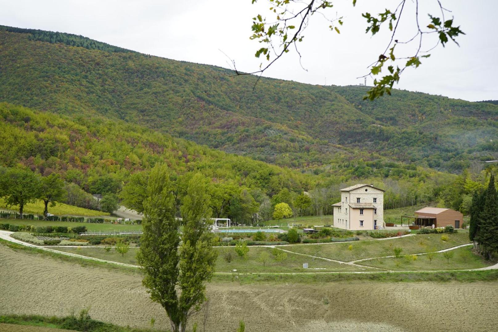 Photo 25