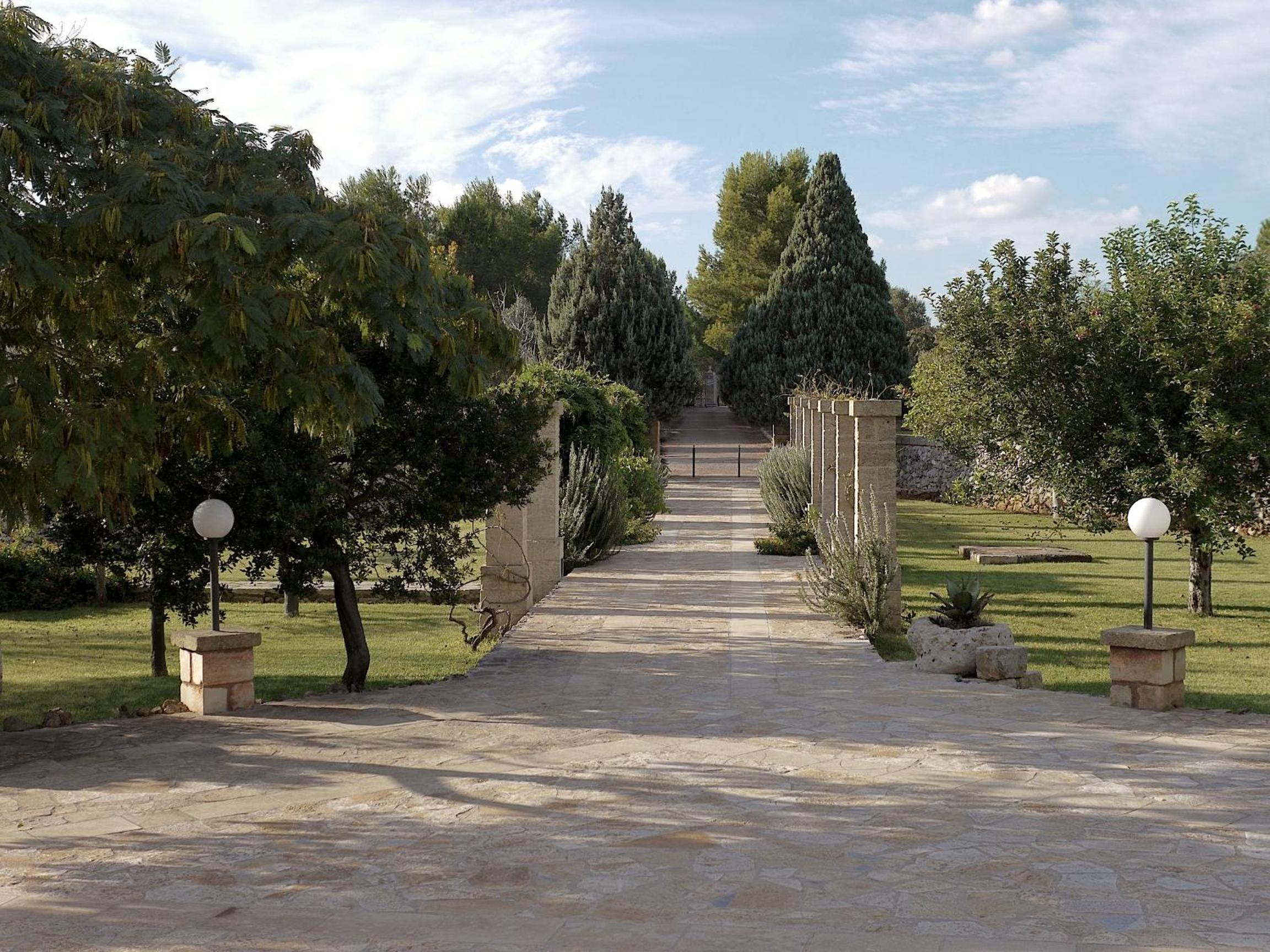 Photo 40