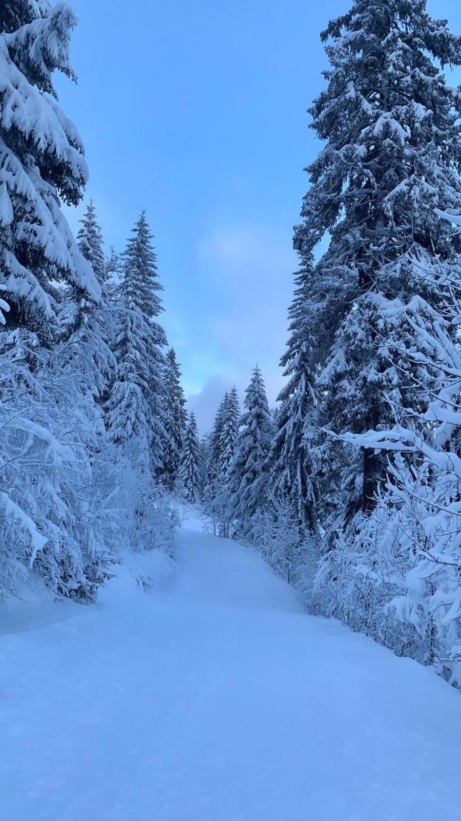Studio Jahorina