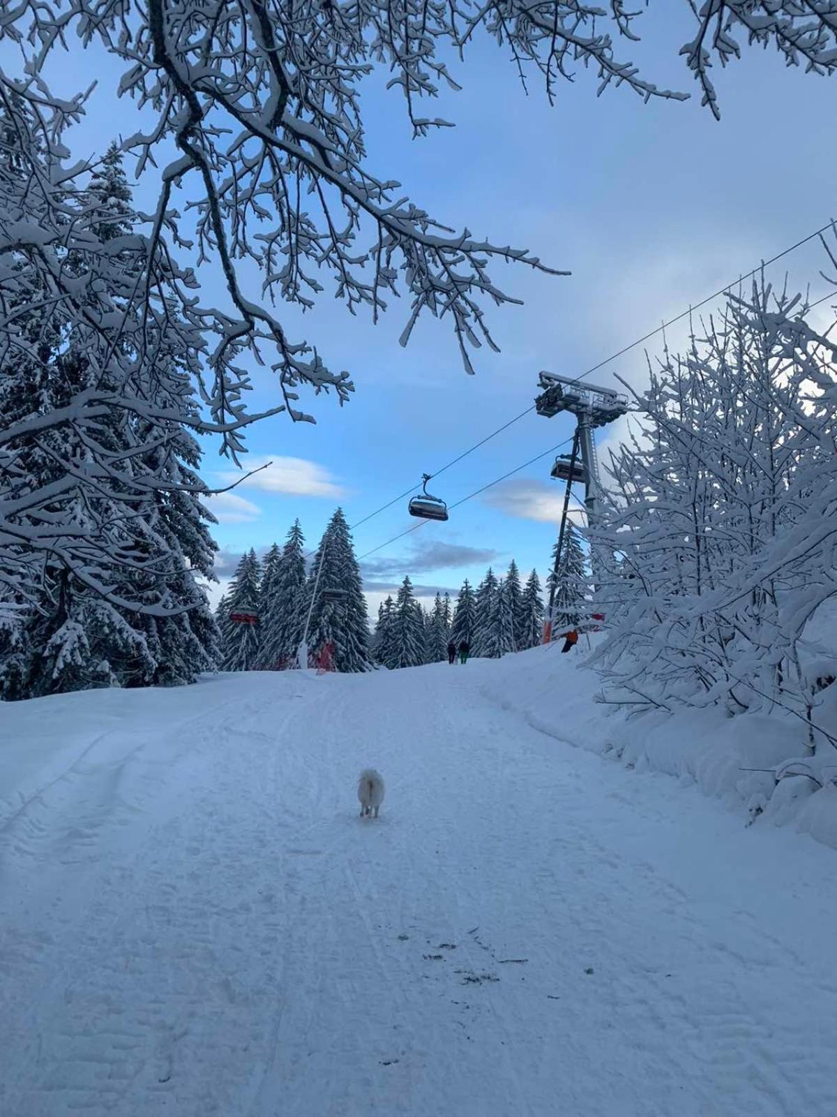 Studio Jahorina