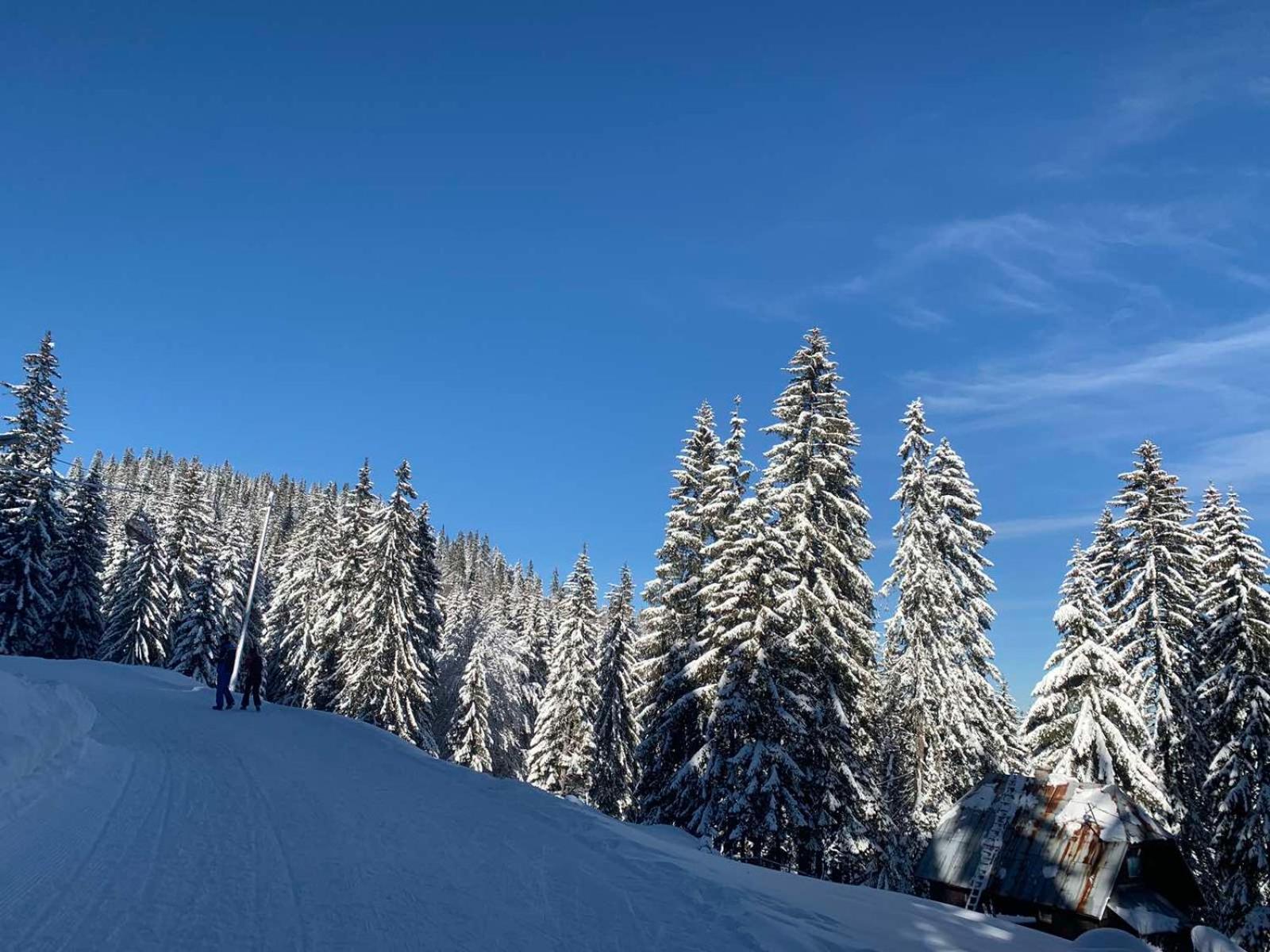 Studio Jahorina