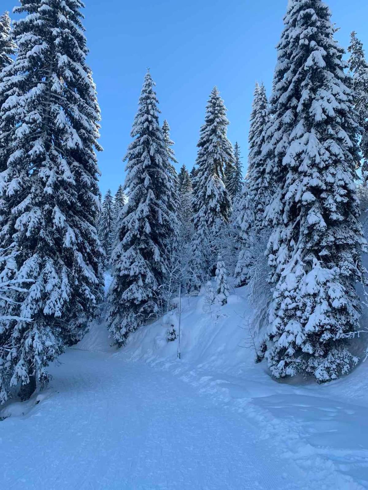 Studio Jahorina