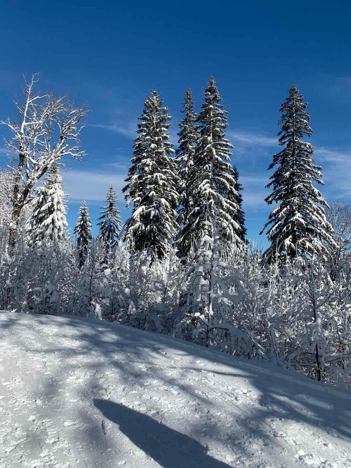 Studio Jahorina