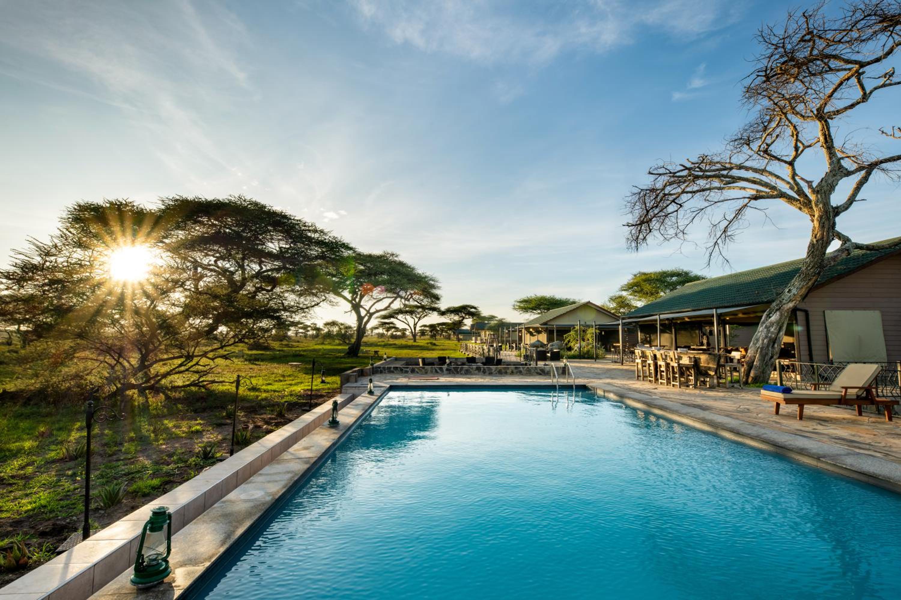 Serengeti National Park Vacations - Serengeti Sametu Camp - Property Image 10