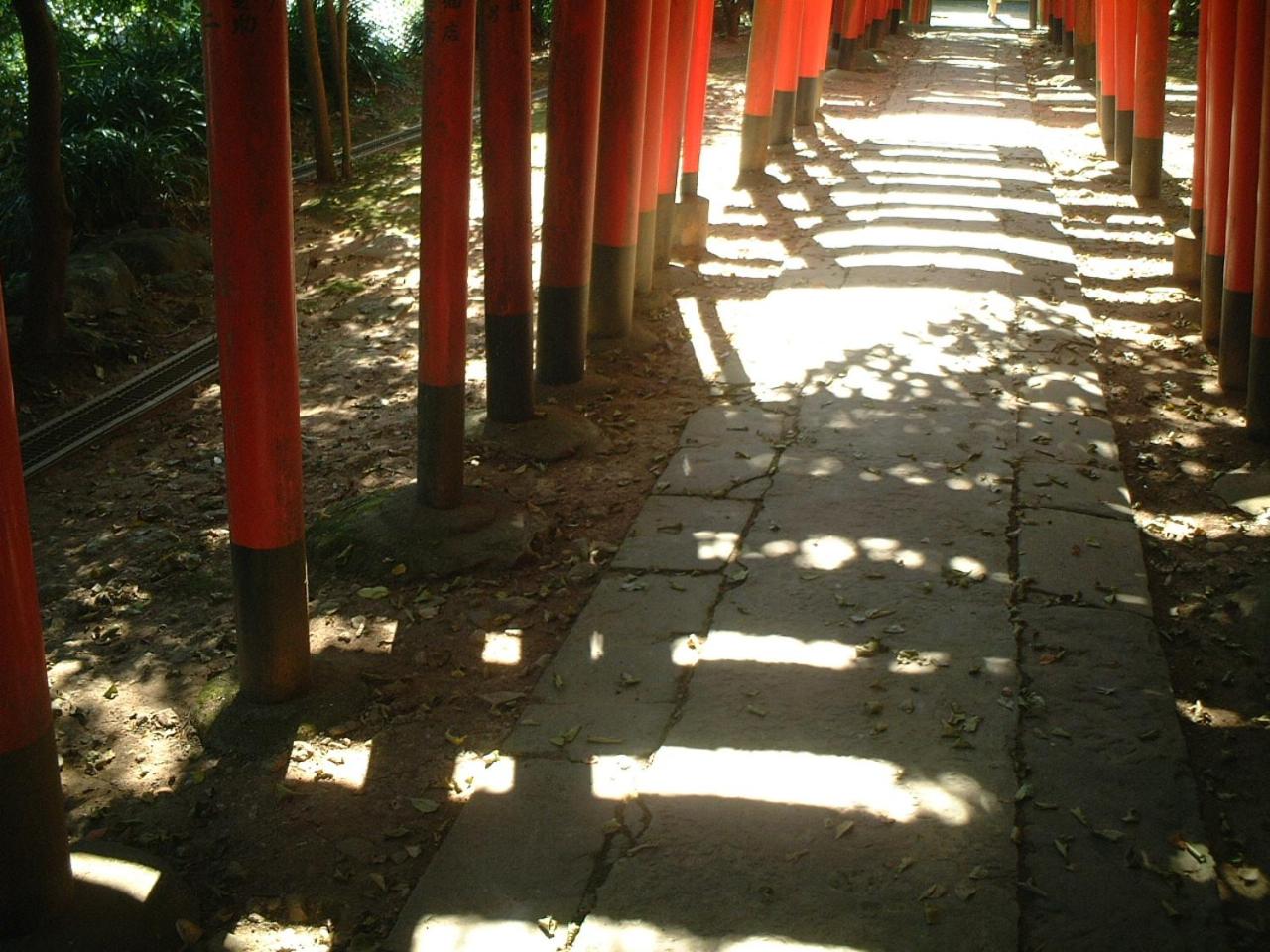AKUNOURA HUIS