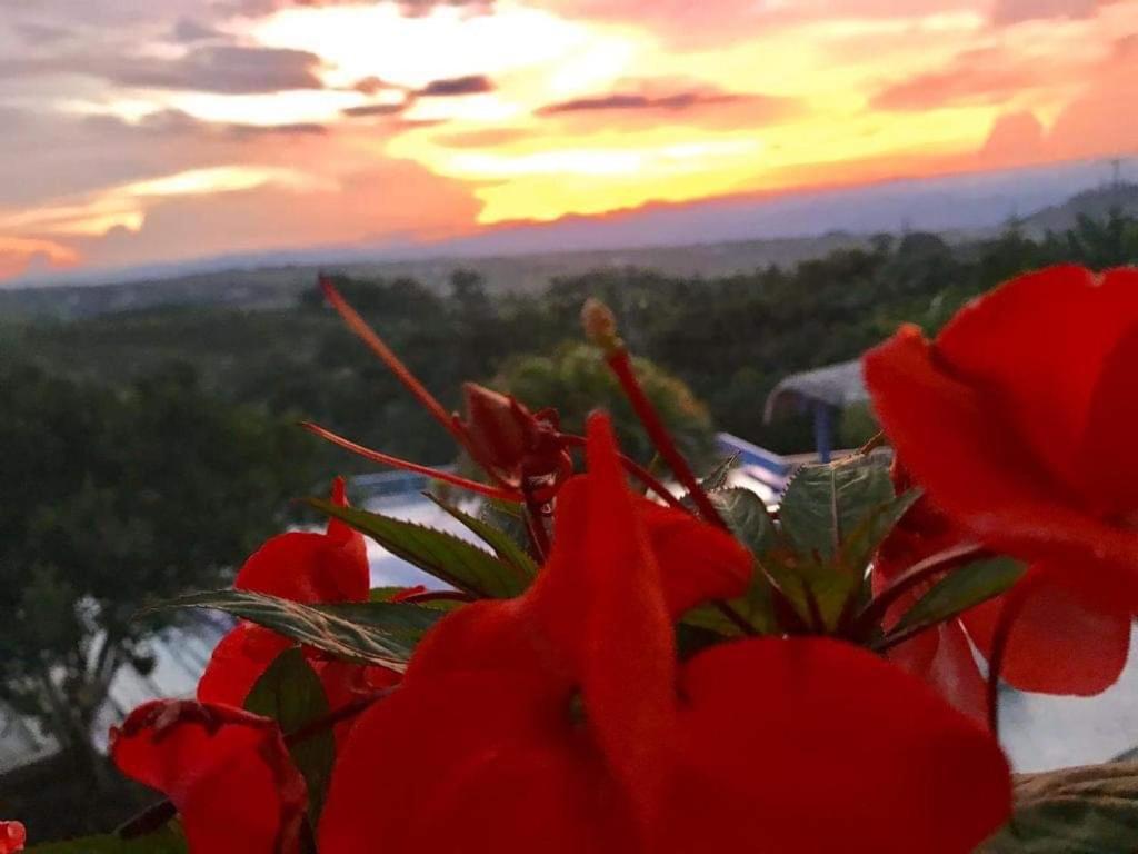 Hotel Casa Natura