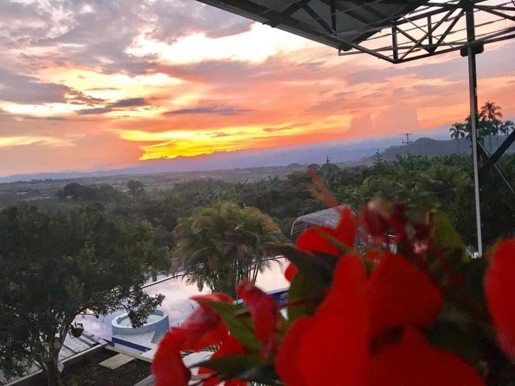Hotel Casa Natura