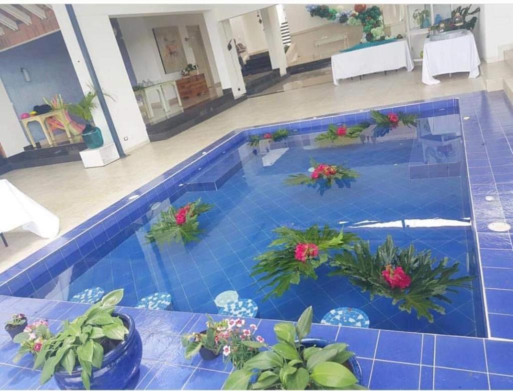 Hotel Casa Natura