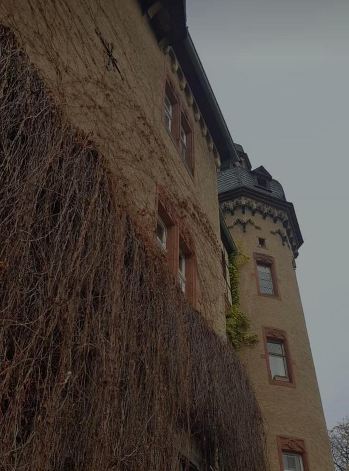 Ferienwohnung Am Geysirzentrum