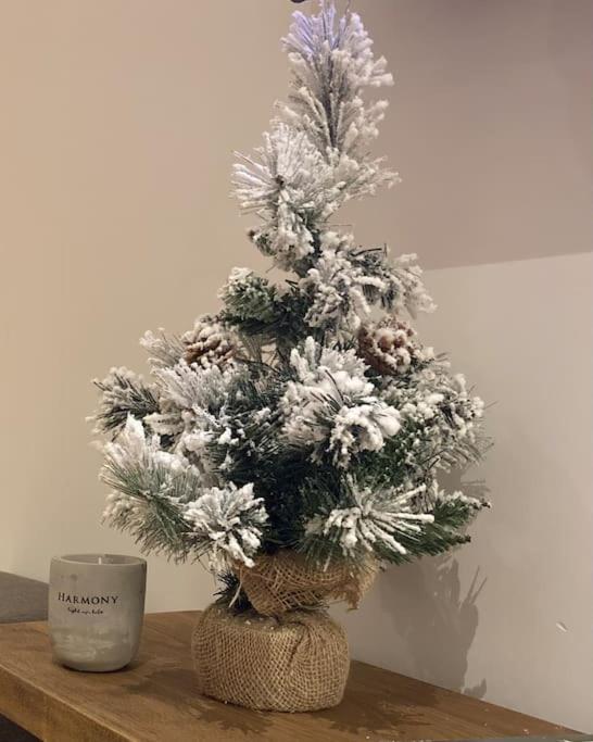 Apartman Jelka Brzece