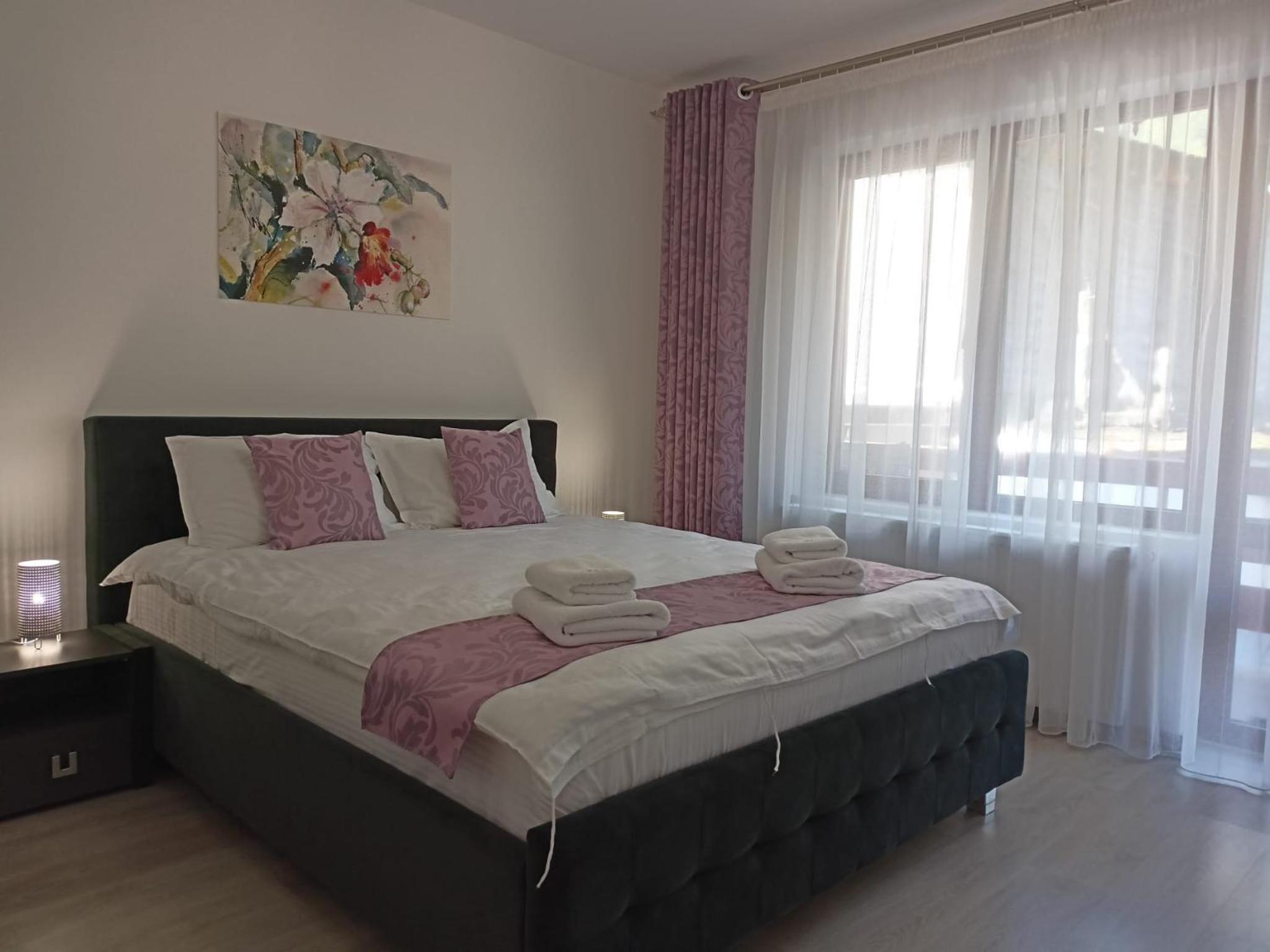 Apartament Eric, Busteni view 3