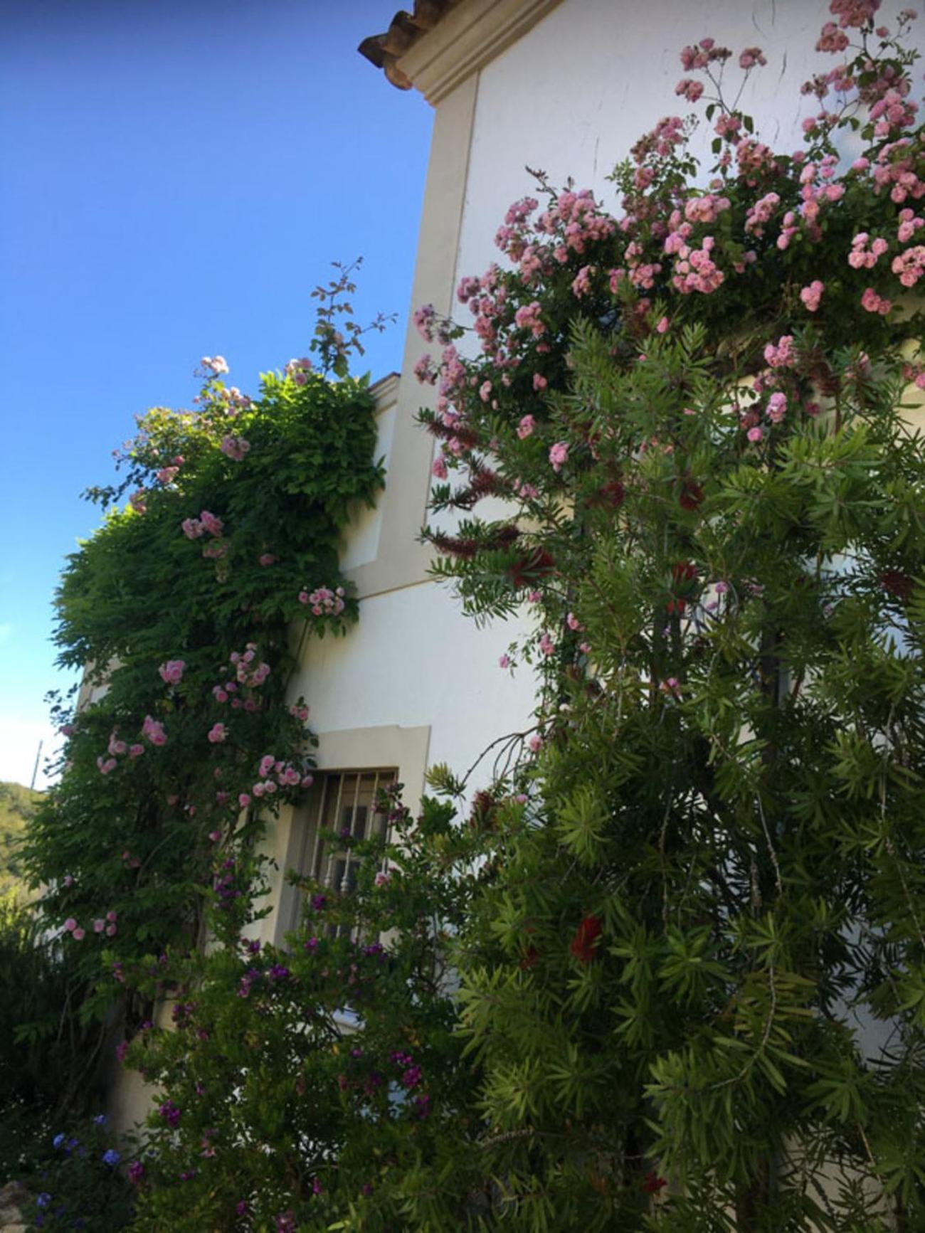 Casa dos Reis by Portucasa