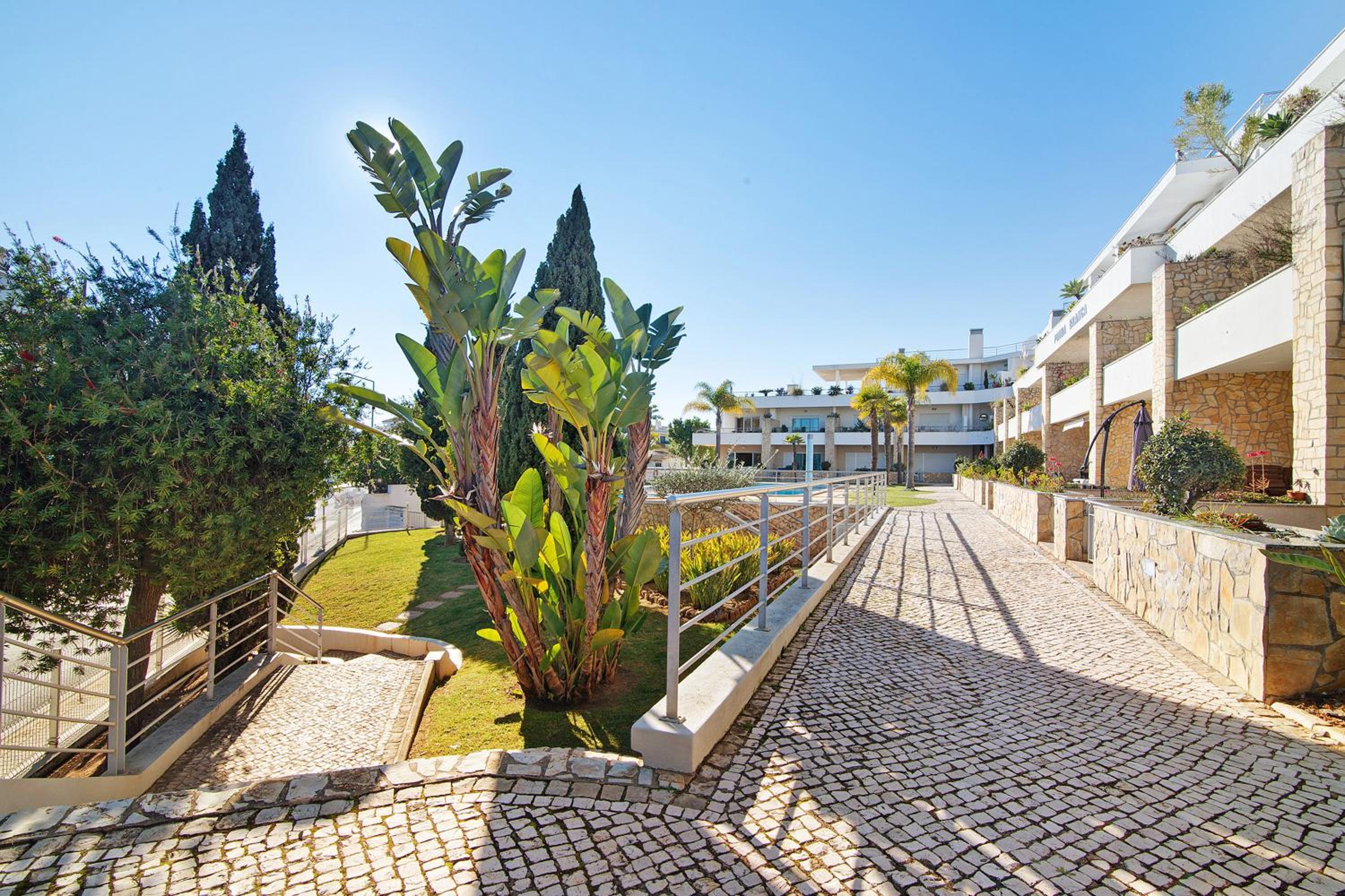 Family House White Dove view 4