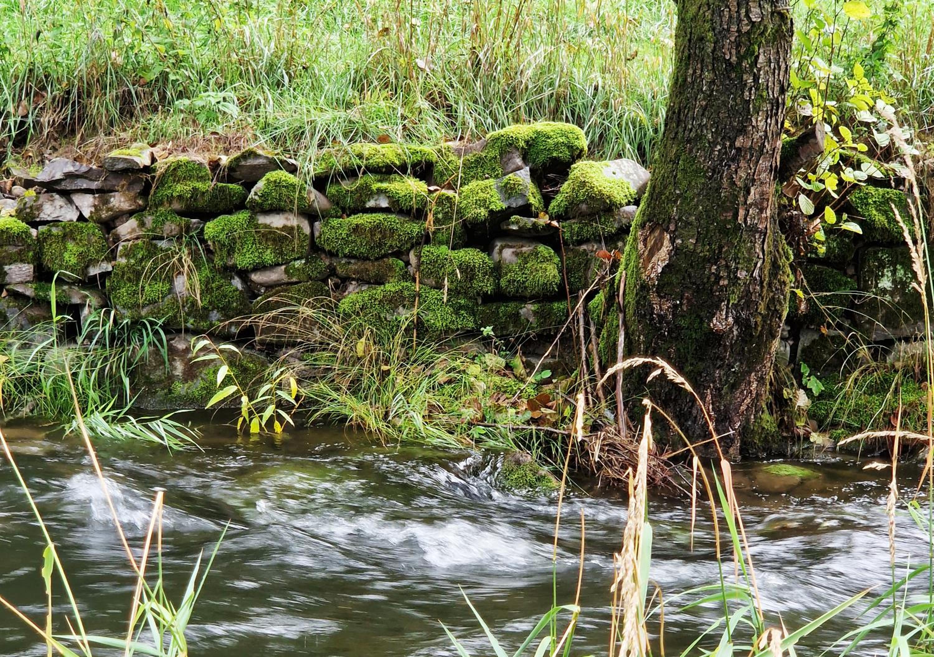 Holzhaus mit Kamin - Am Forellenfluss