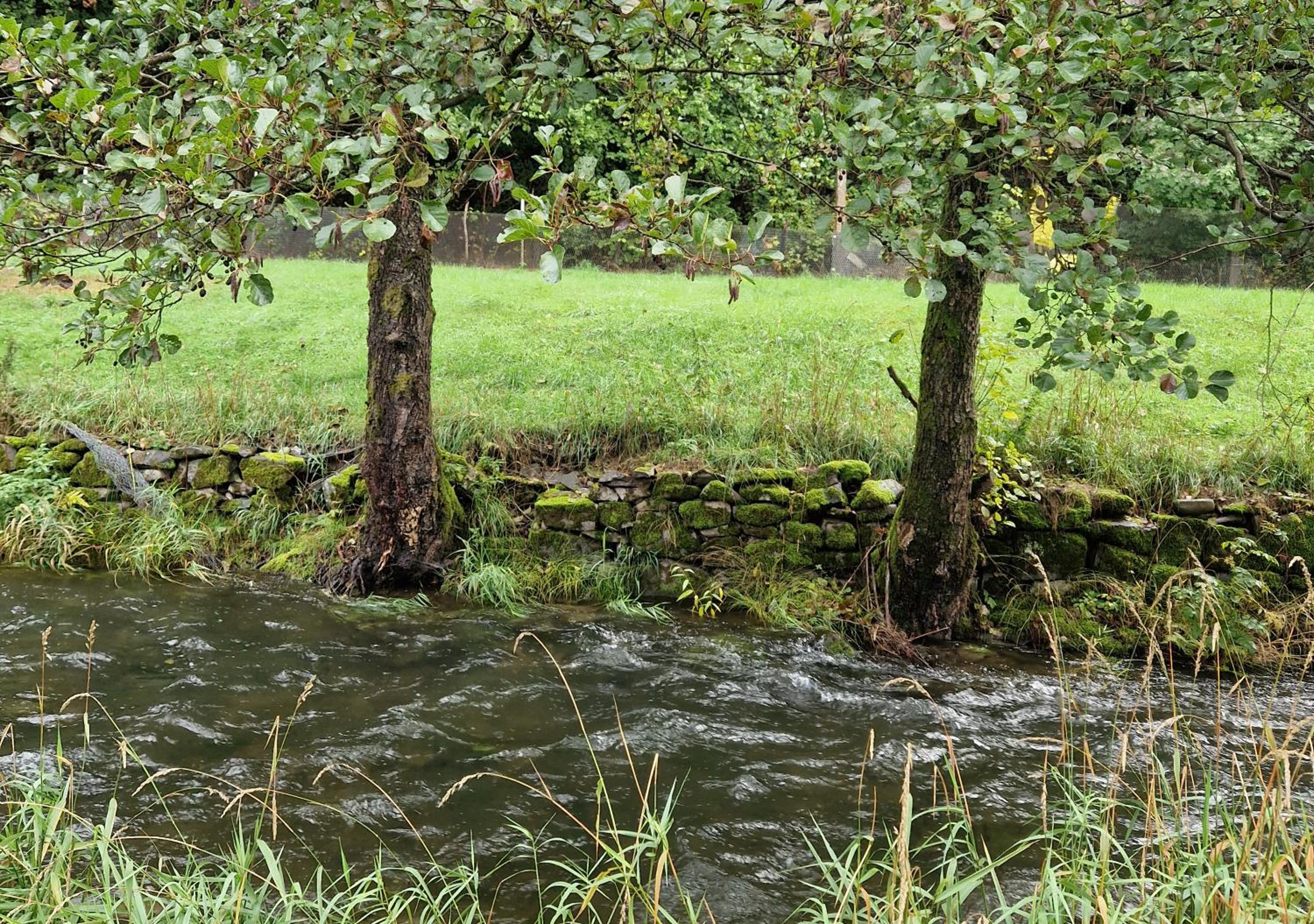 Holzhaus mit Kamin - Am Forellenfluss