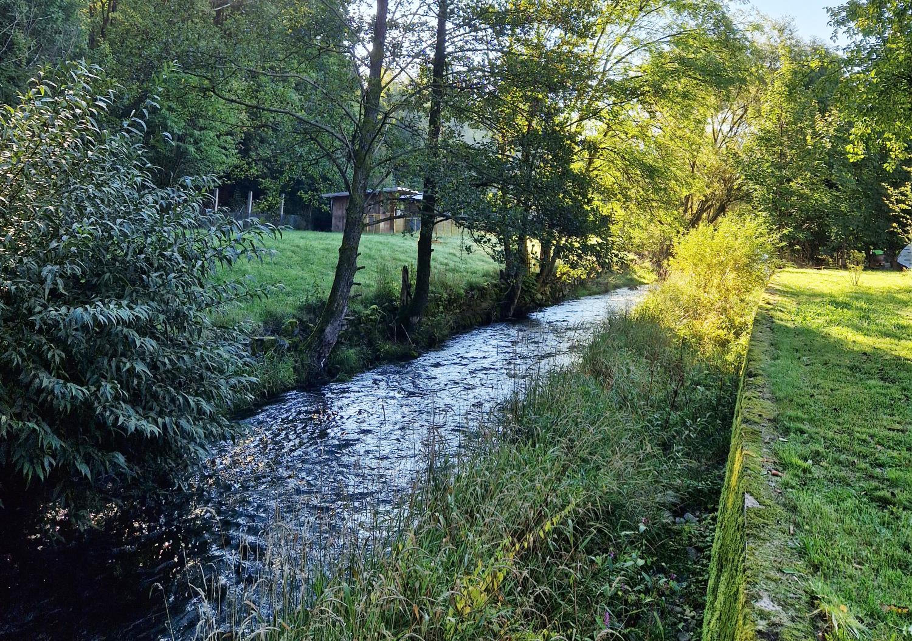 Holzhaus mit Kamin - Am Forellenfluss