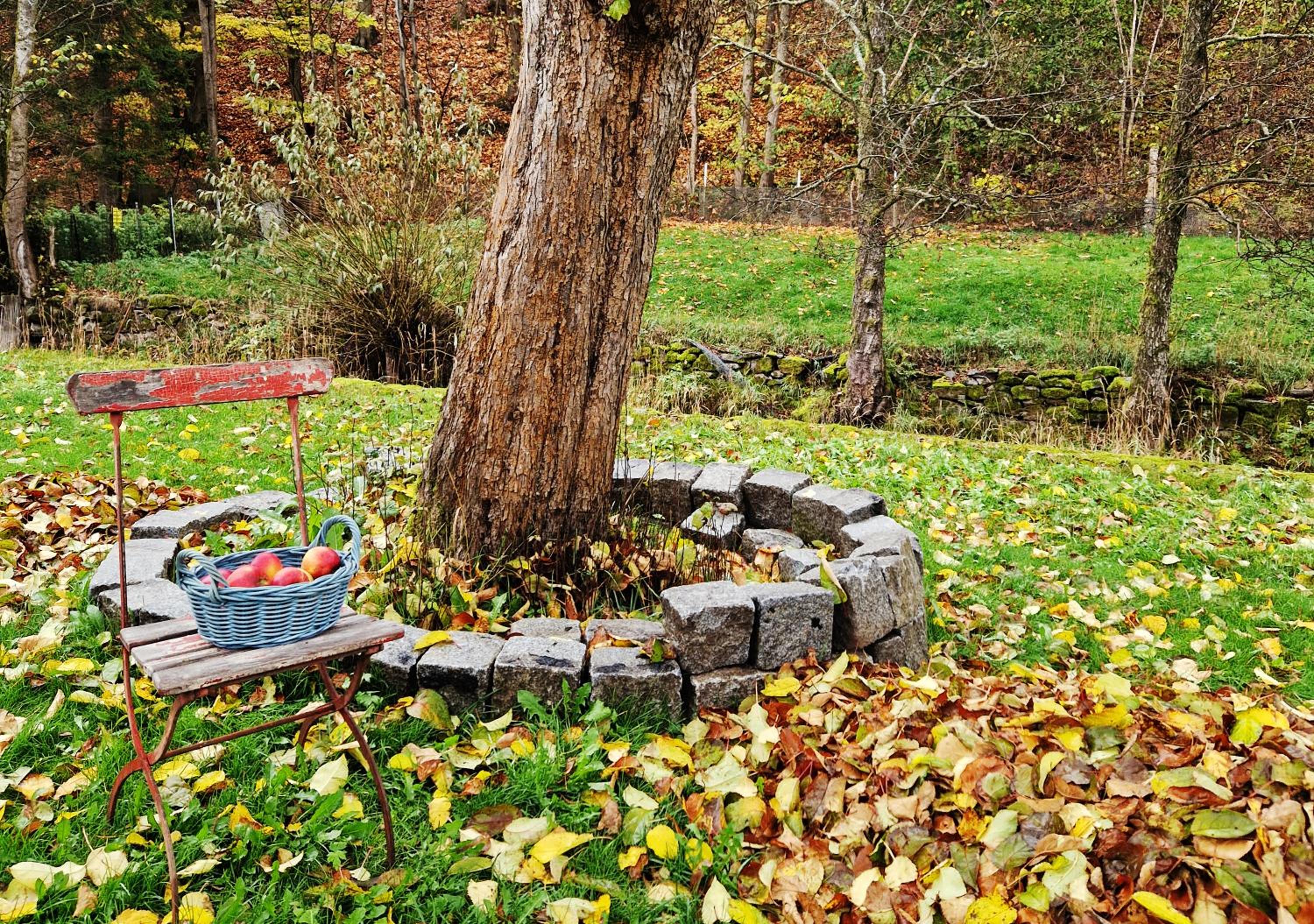 Holzhaus mit Kamin - Am Forellenfluss