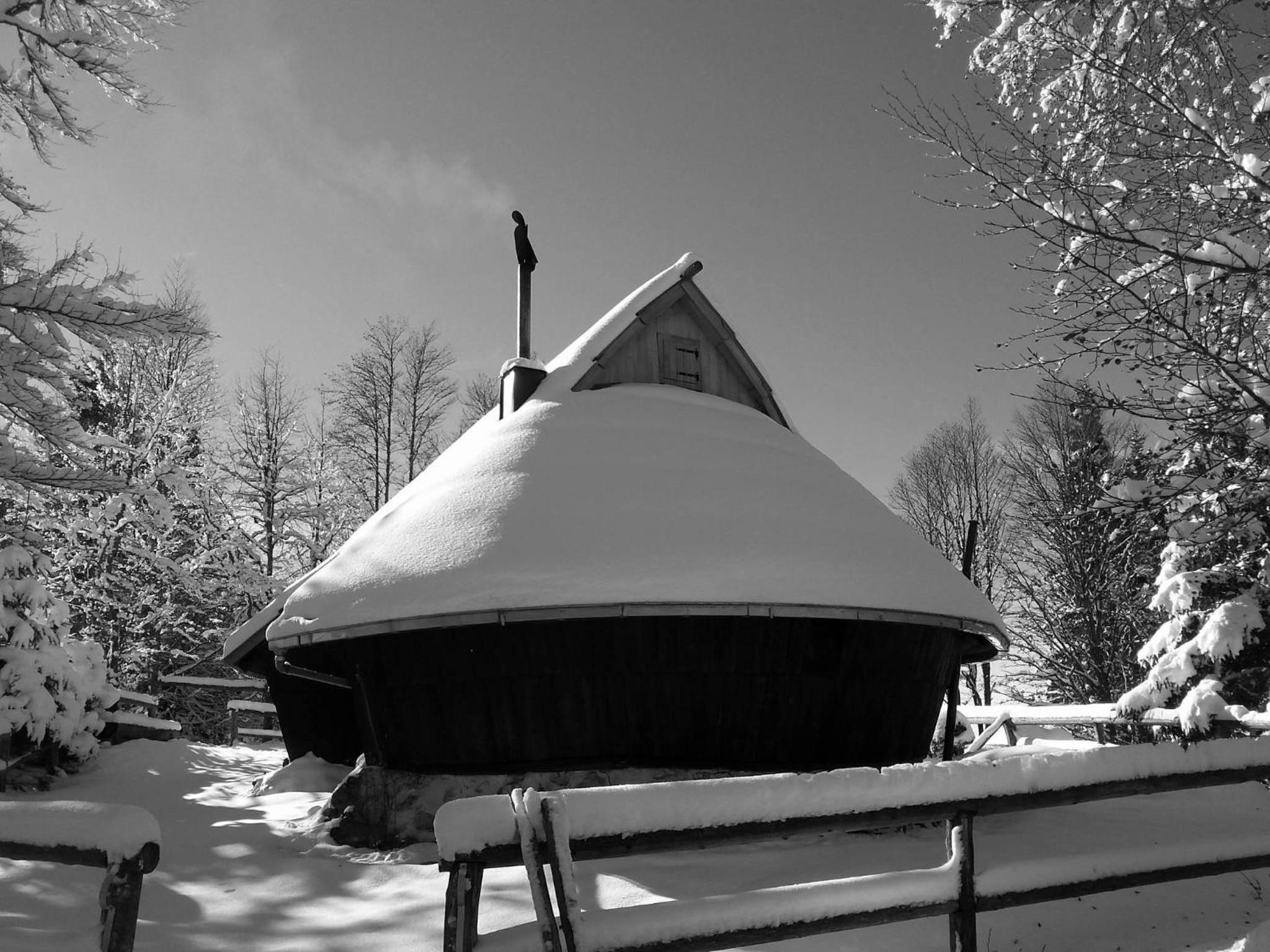 Chalet Kanja Velika Planina view 3
