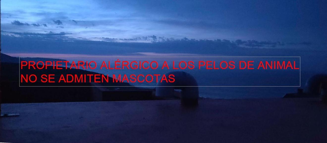 La Perla Negra