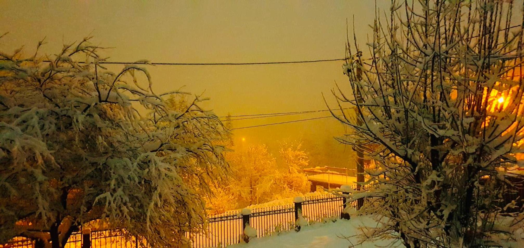 Iepurasul Sinaia