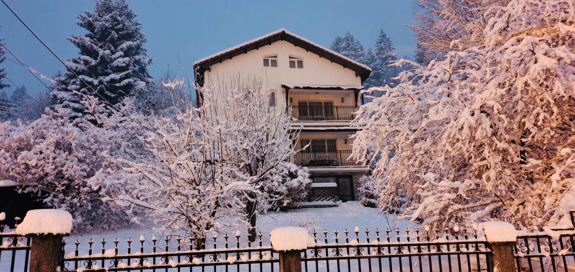 Iepurasul Sinaia