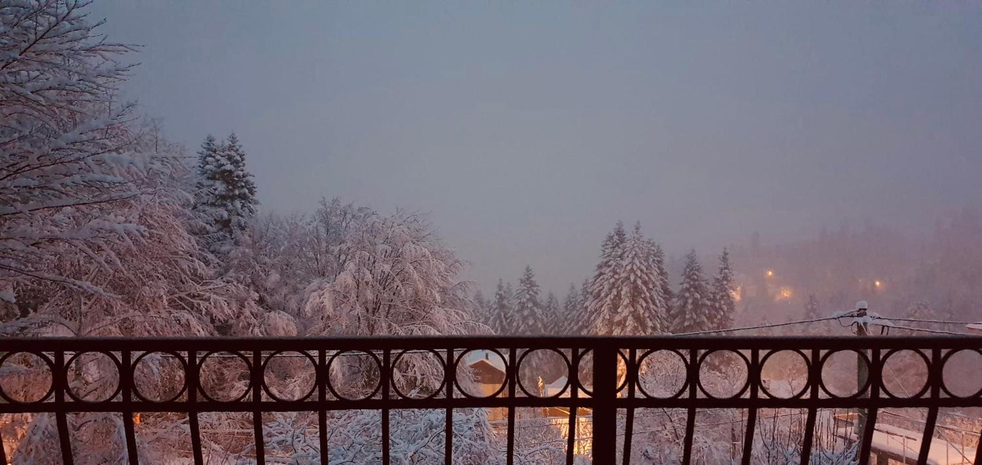 Iepurasul Sinaia