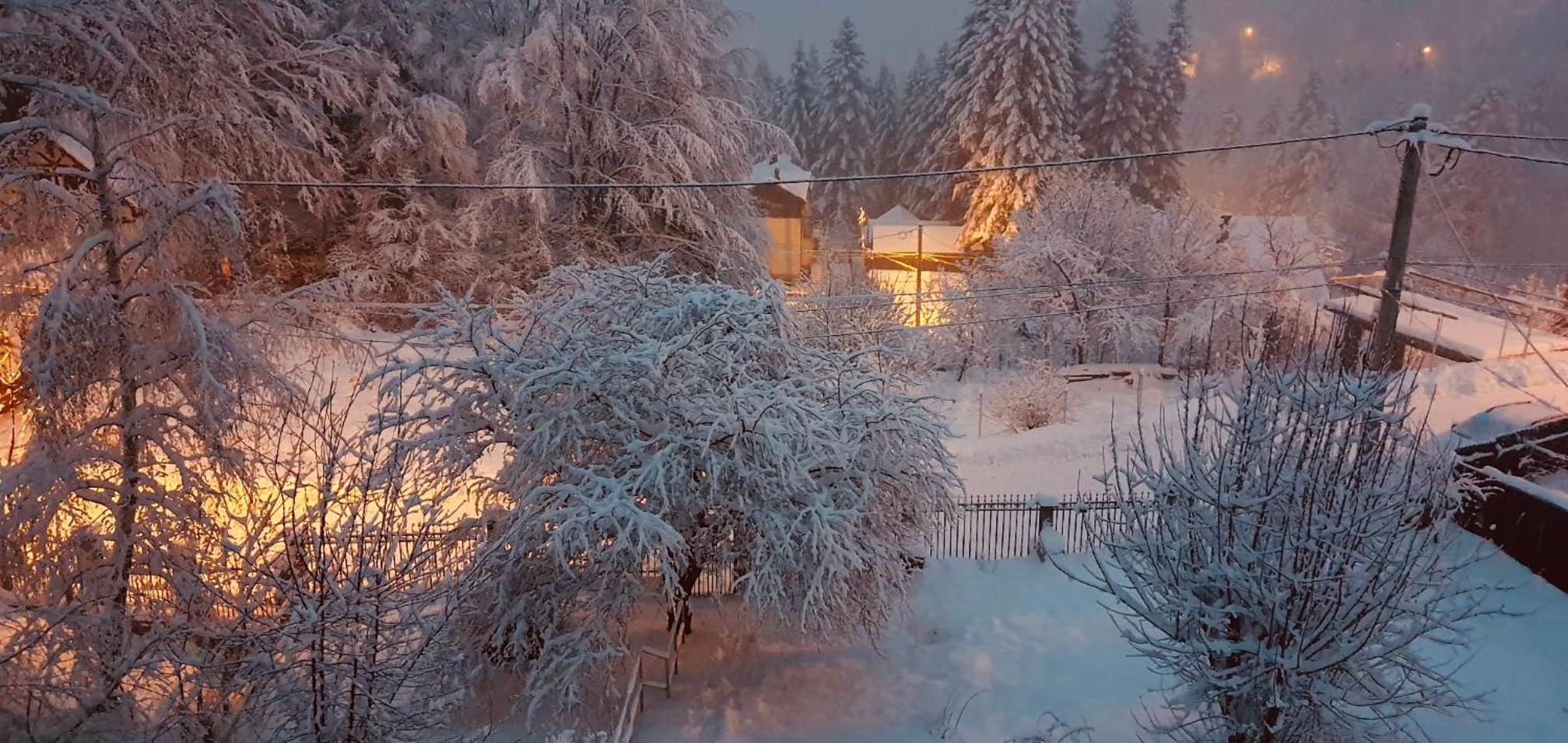 Iepurasul Sinaia