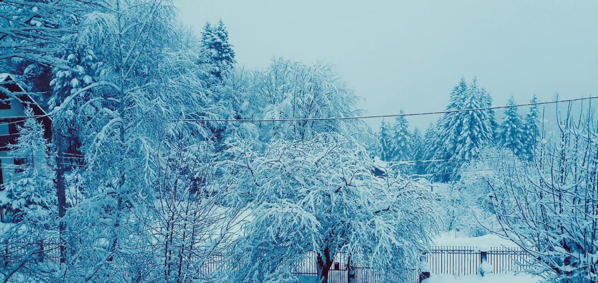 Iepurasul Sinaia
