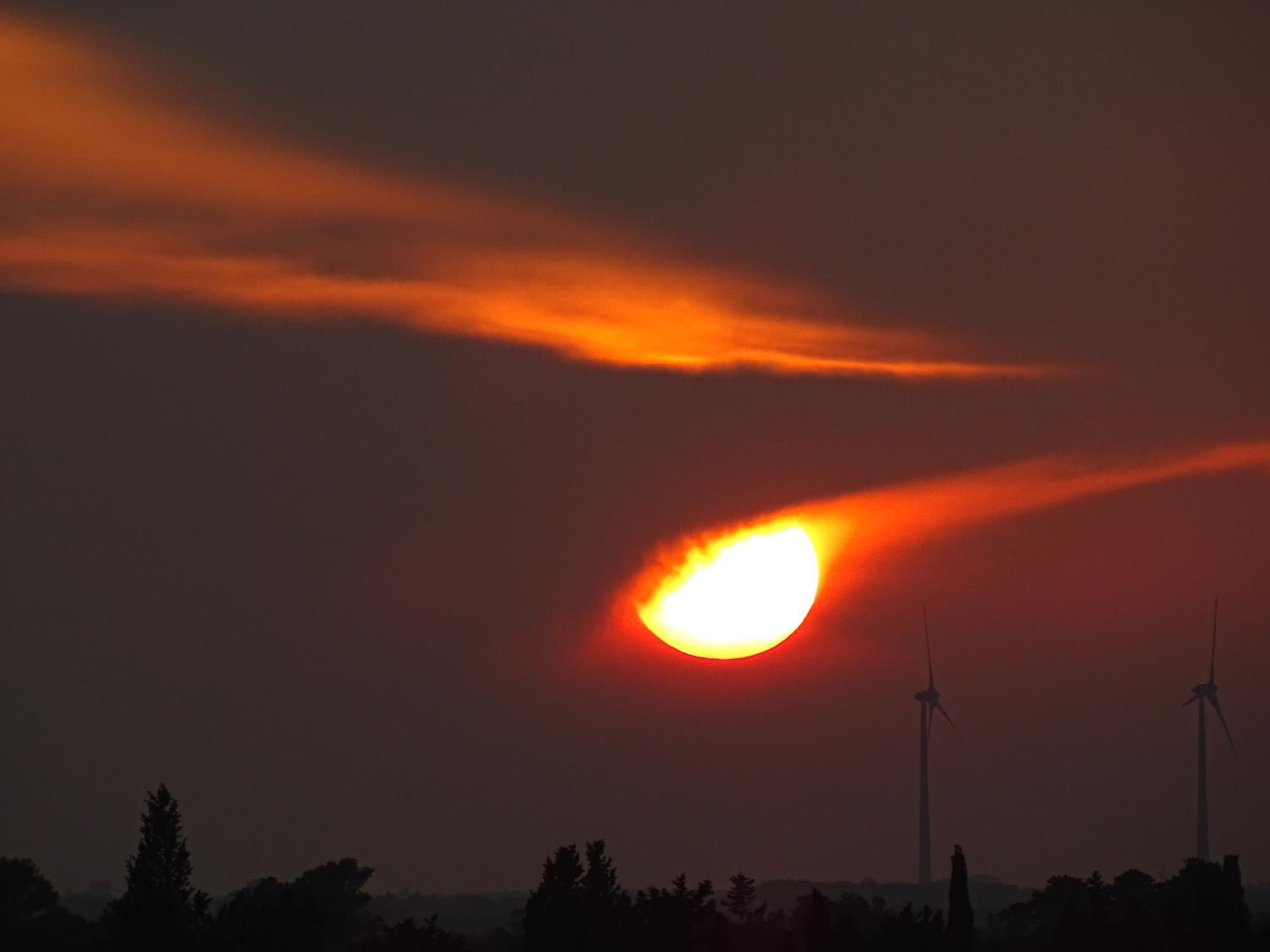 Sole del Mediterraneo