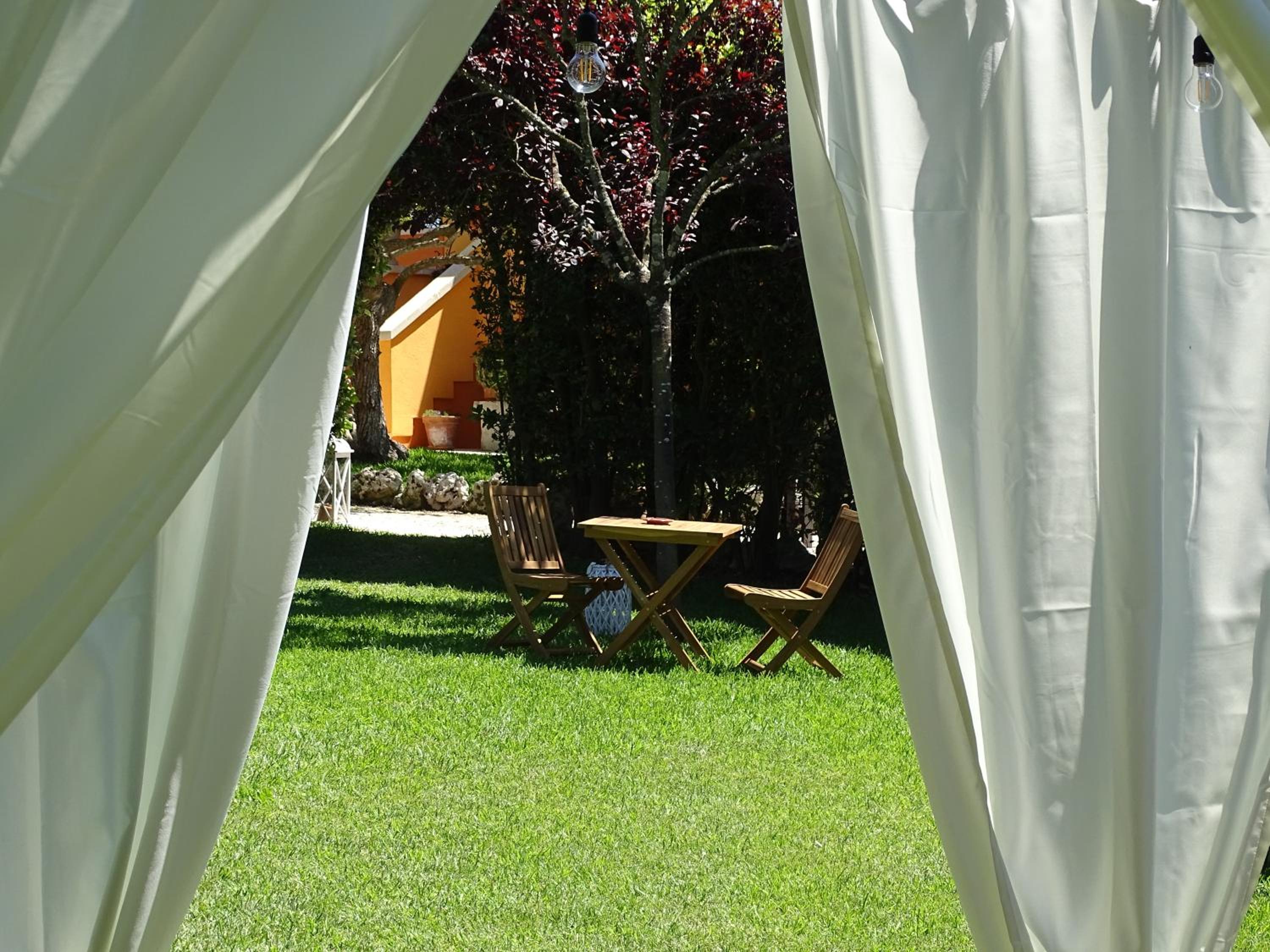 Sole del Mediterraneo