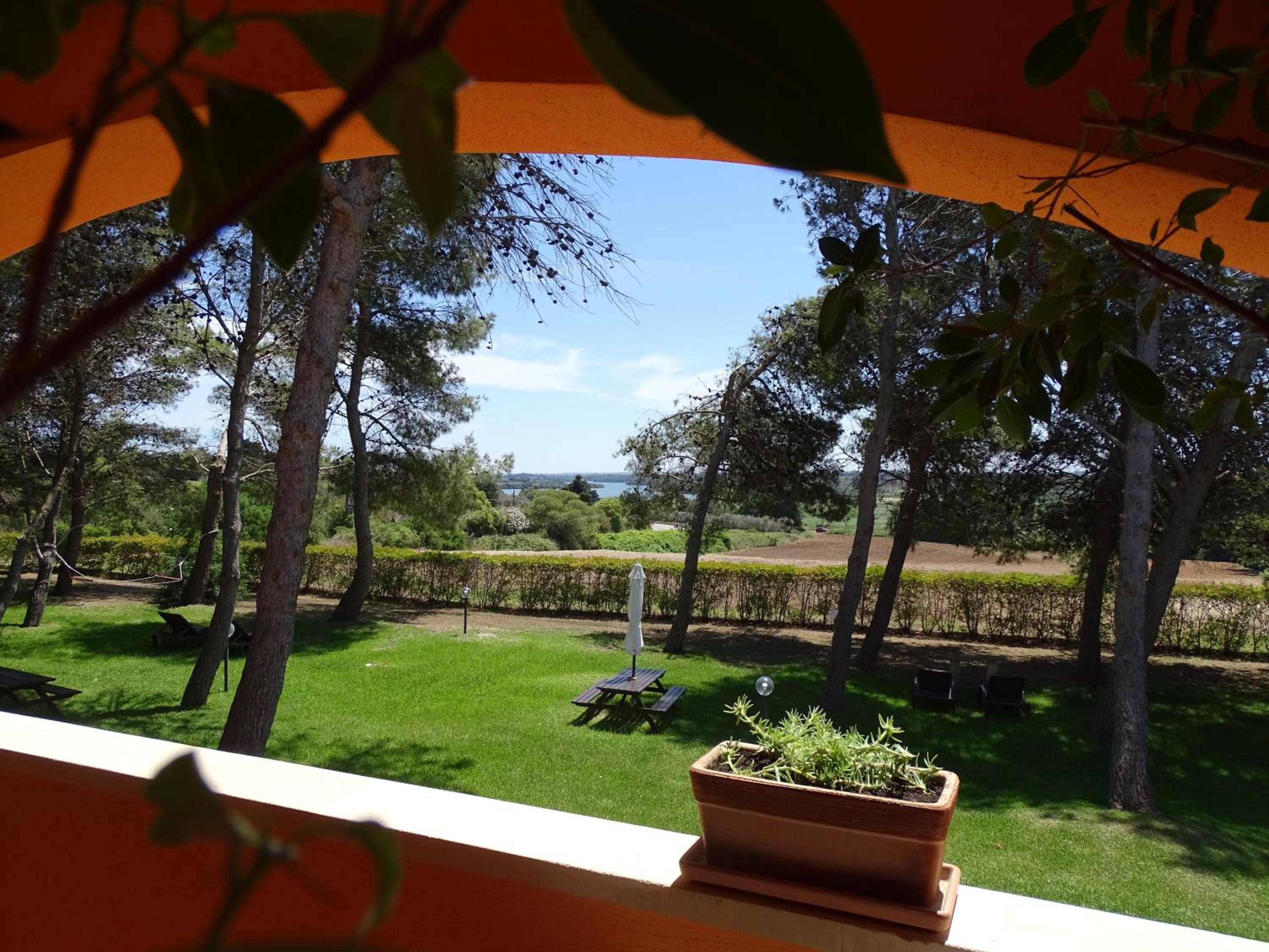 Sole del Mediterraneo