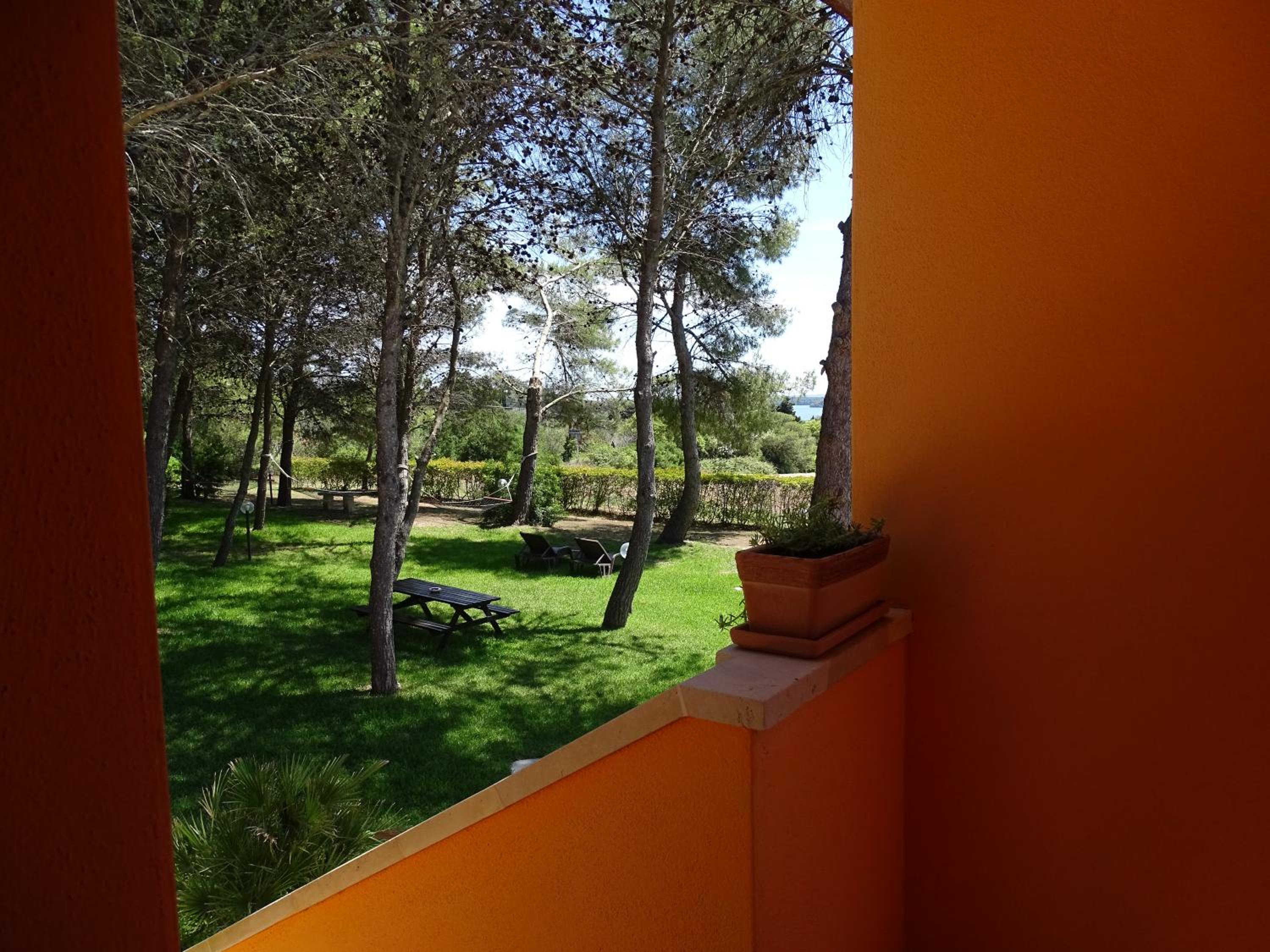 Sole del Mediterraneo
