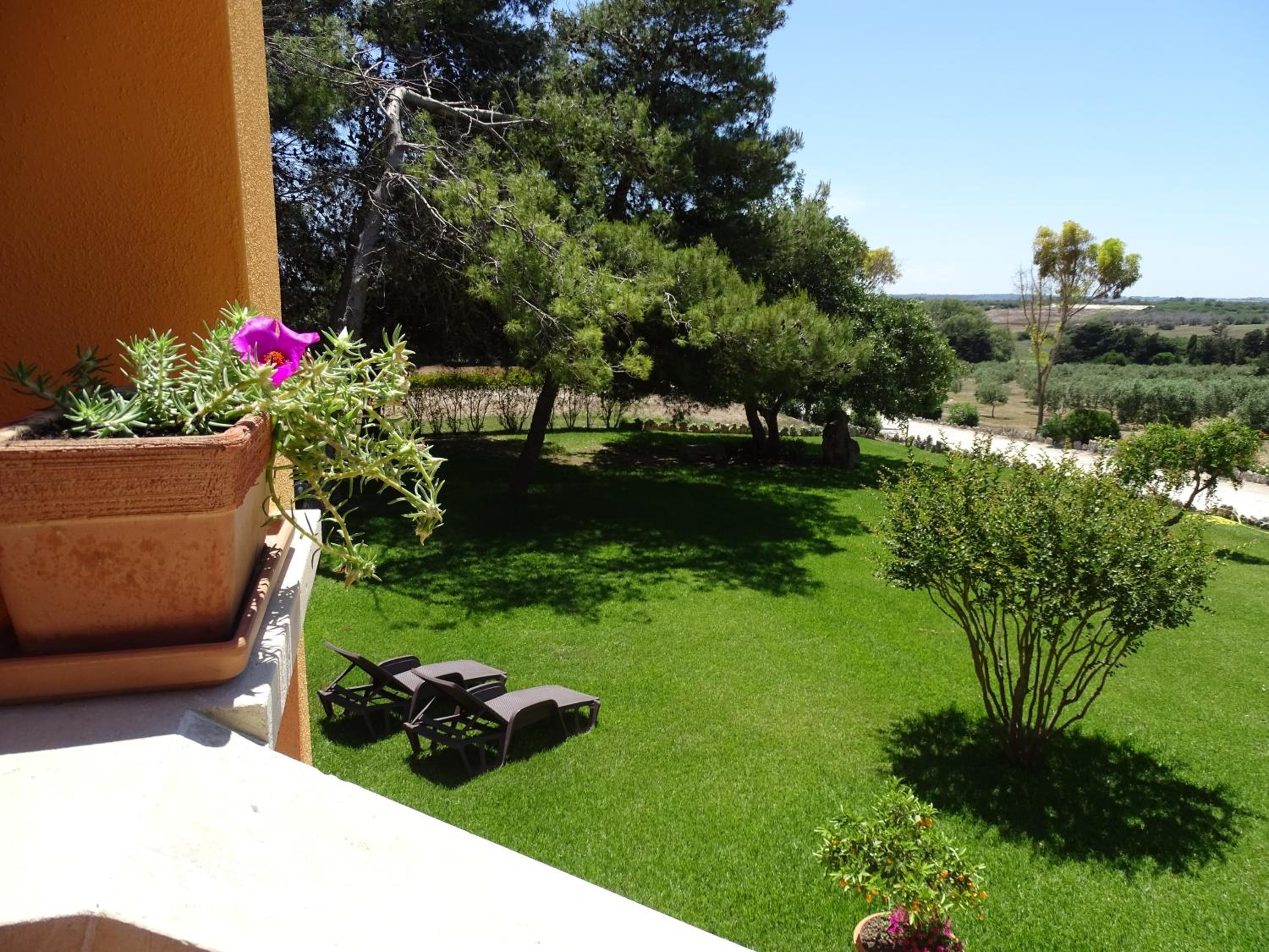Sole del Mediterraneo