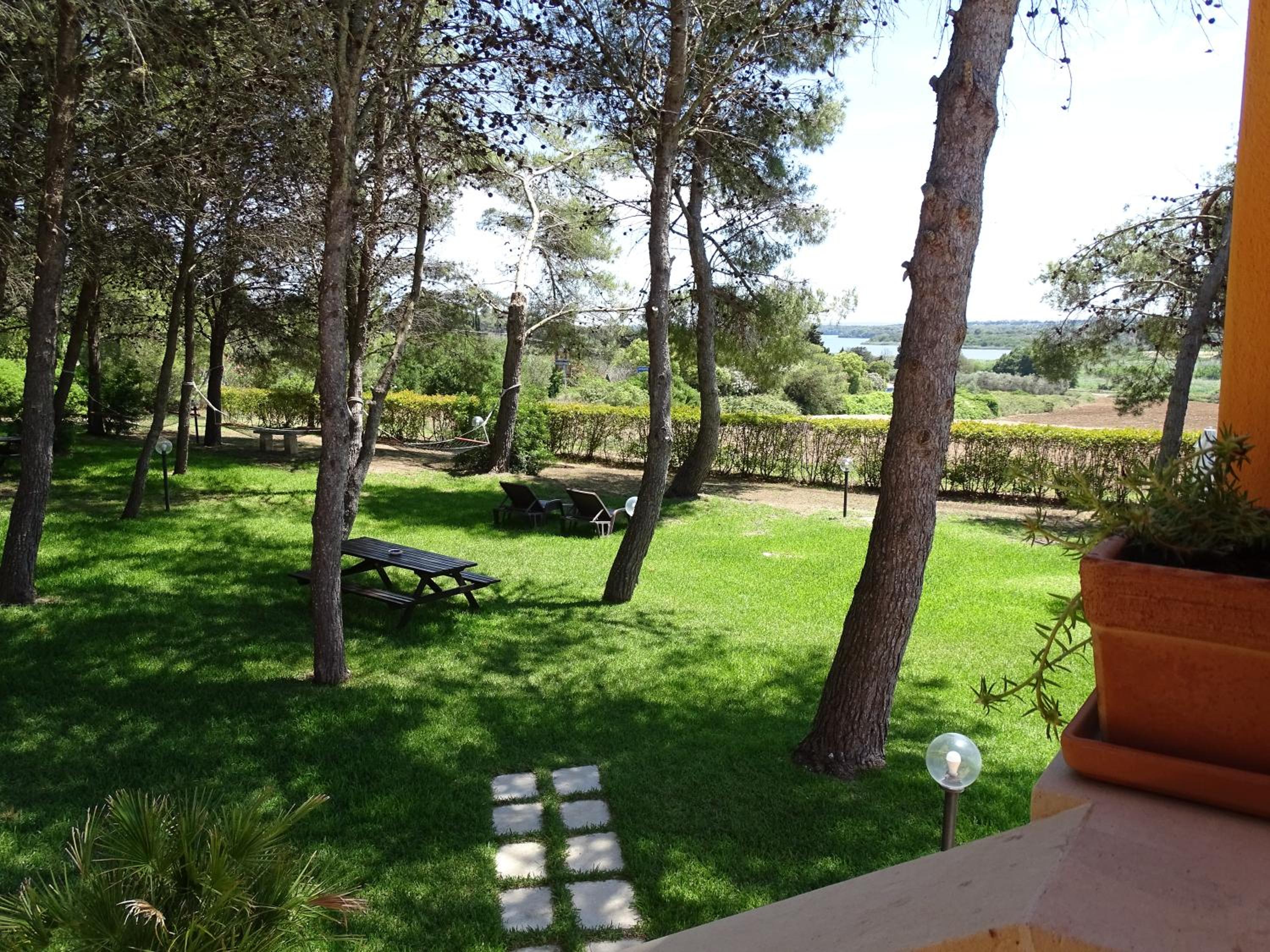 Sole del Mediterraneo