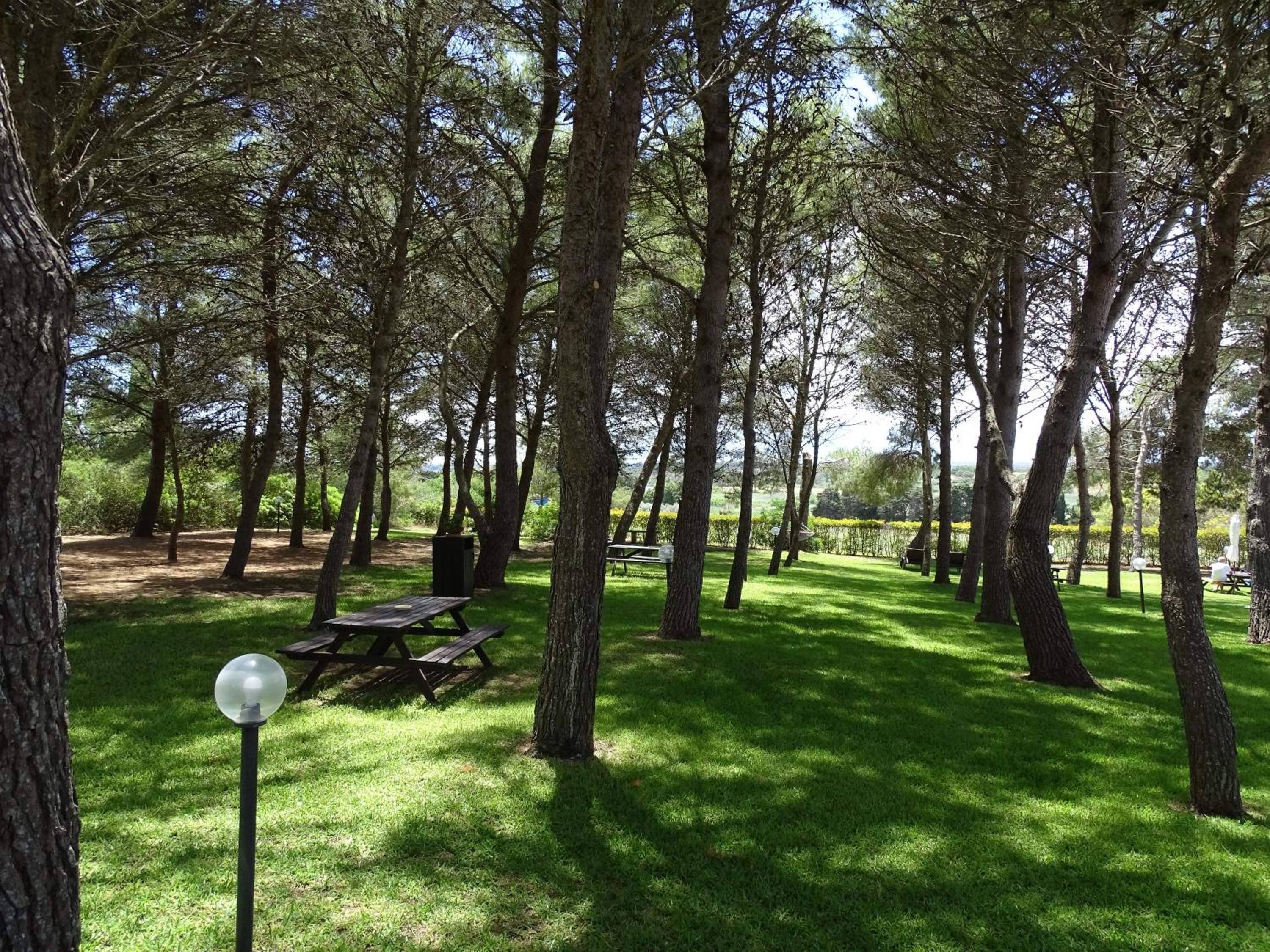 Sole del Mediterraneo