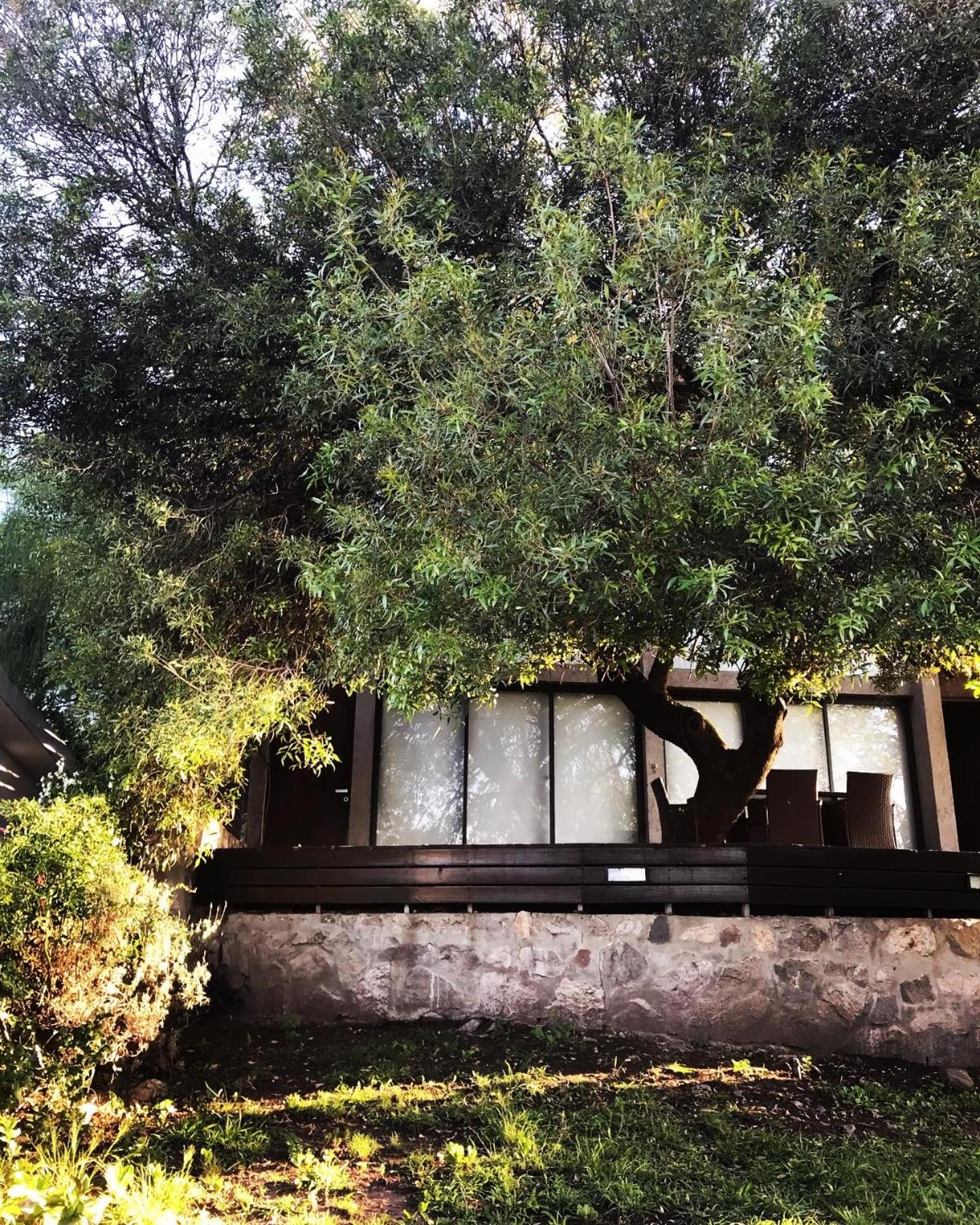 Loft de Montaña