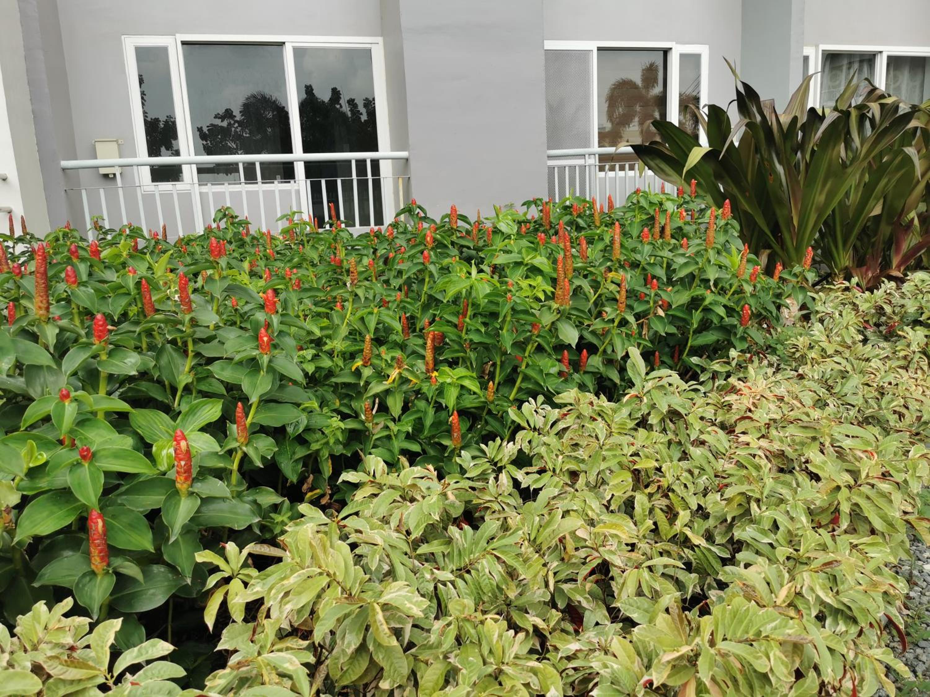 Photo 18