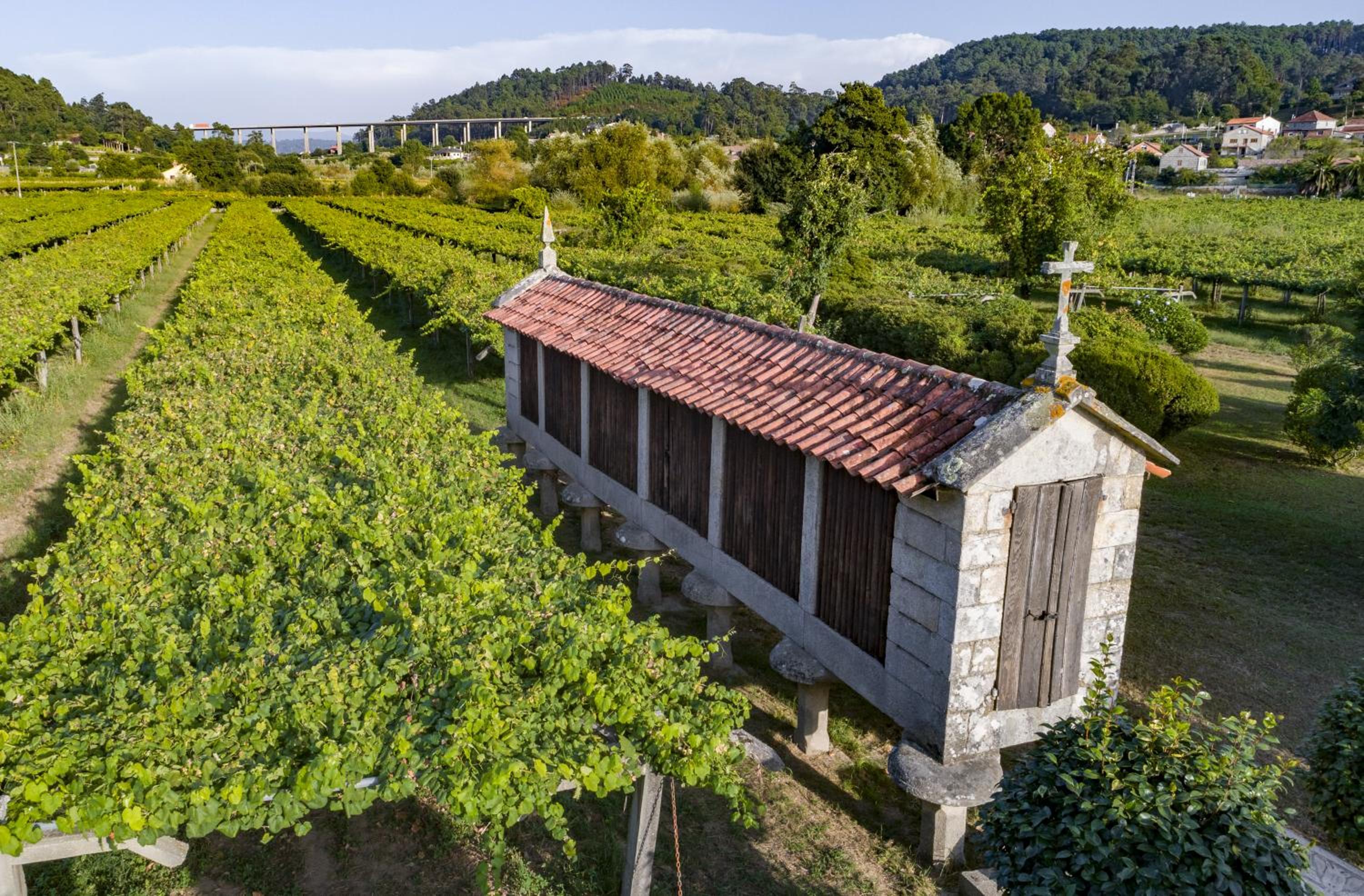 Pazo Torre Penelas