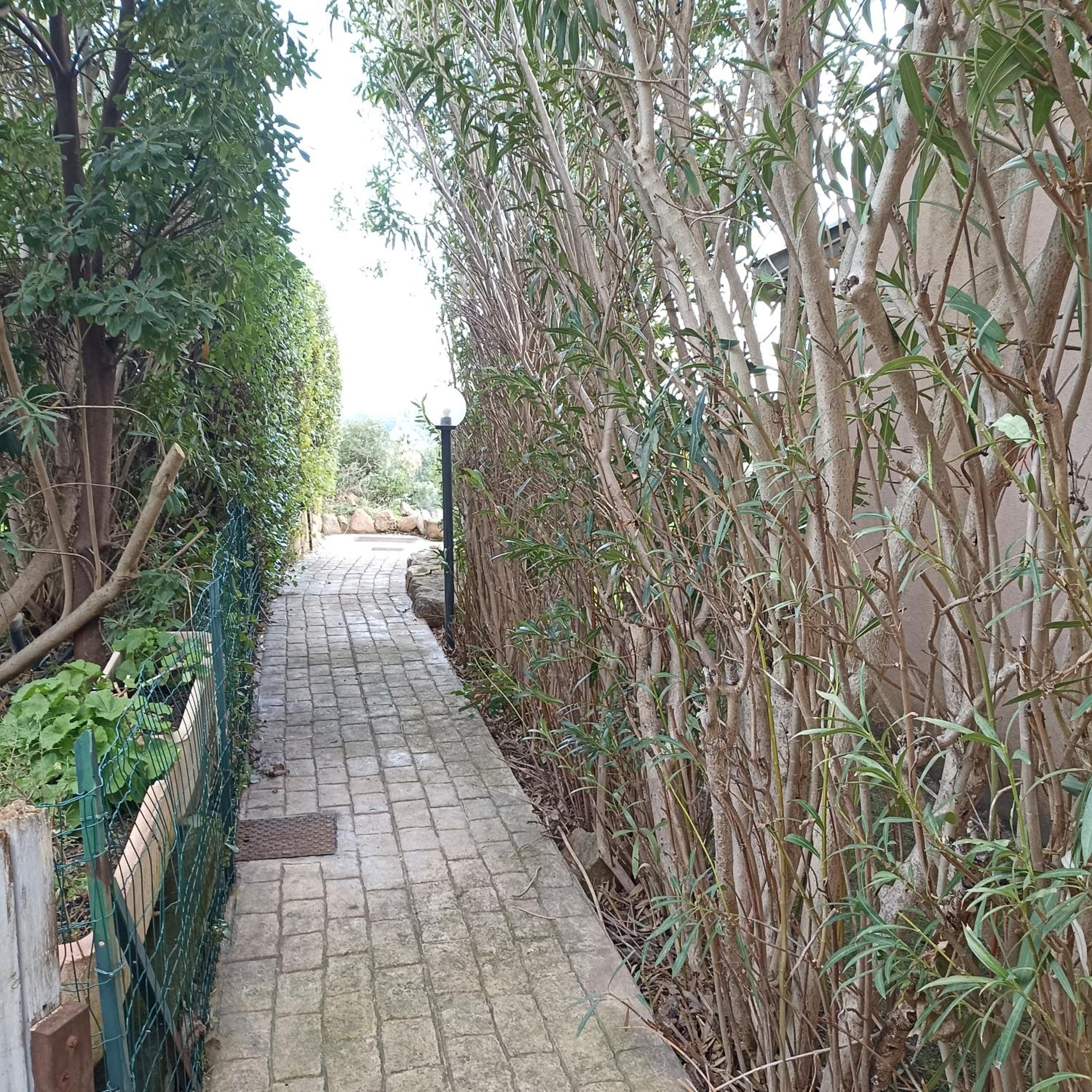 Photo 26