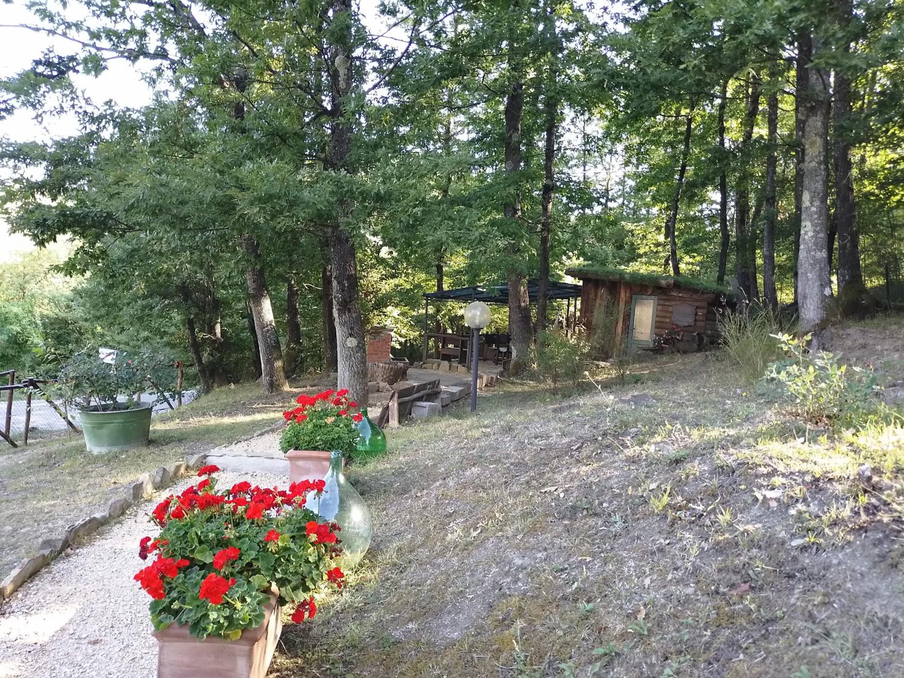 Photo 25