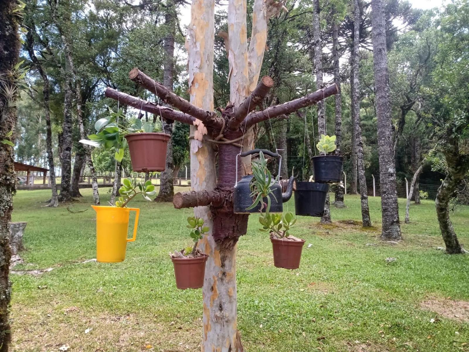 CABANA ROMANCE - RECANTO DA NATUREZA