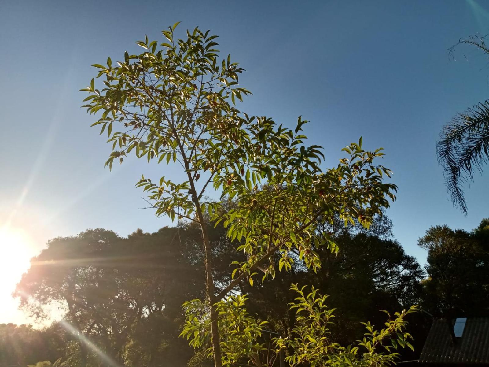 CABANA ROMANCE - RECANTO DA NATUREZA