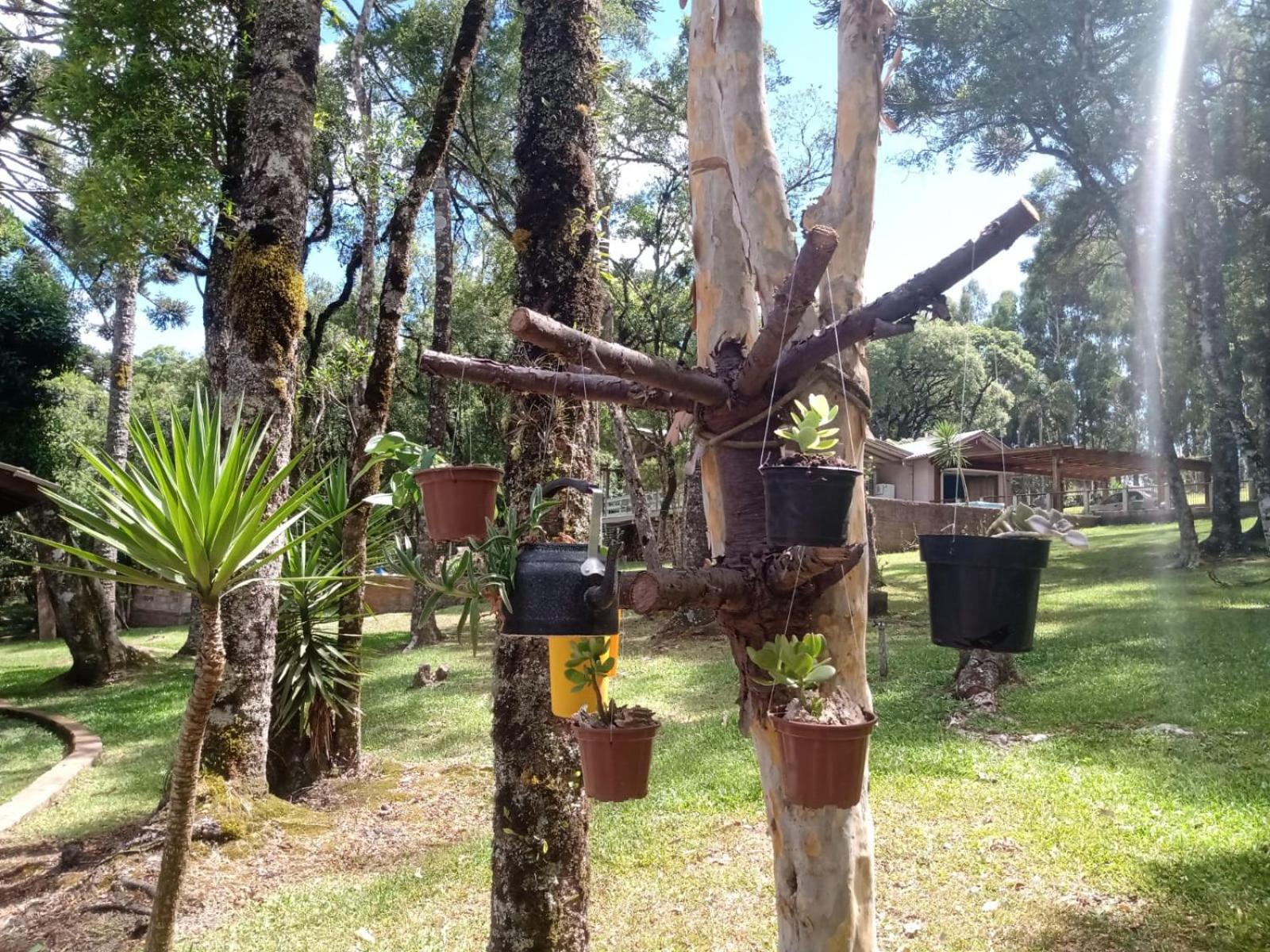 CABANA ROMANCE - RECANTO DA NATUREZA