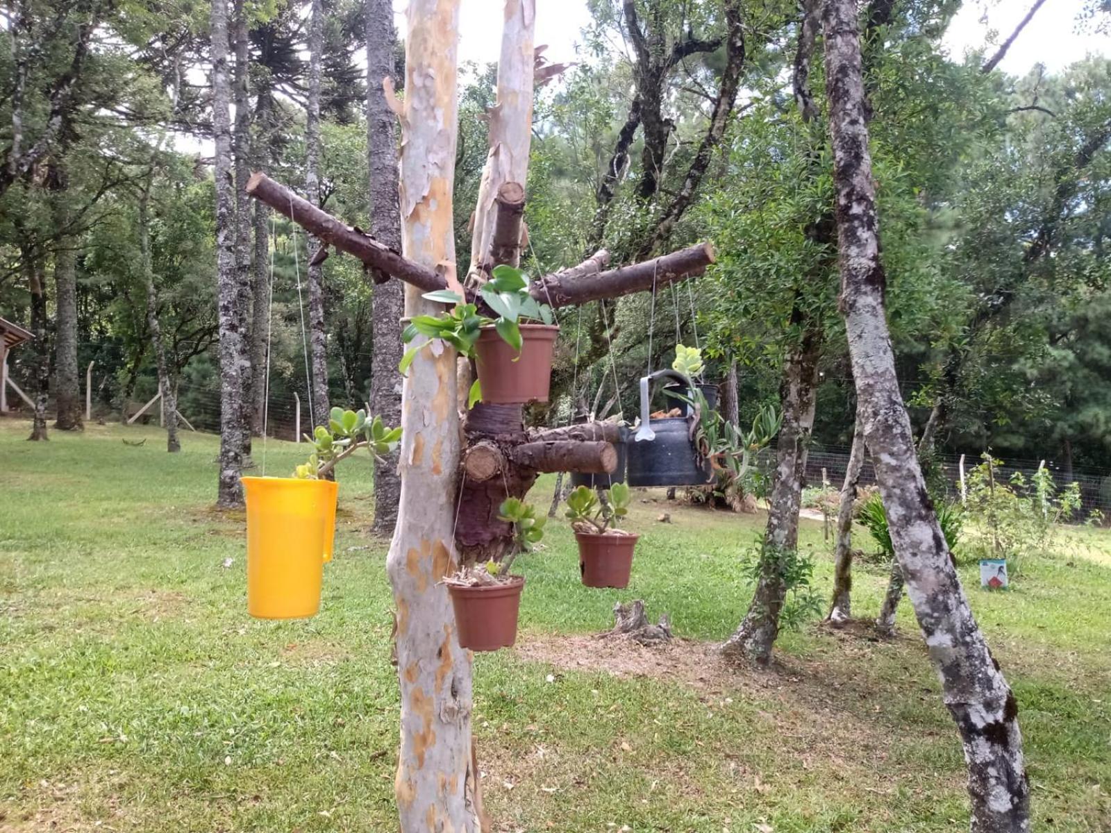CABANA ROMANCE - RECANTO DA NATUREZA
