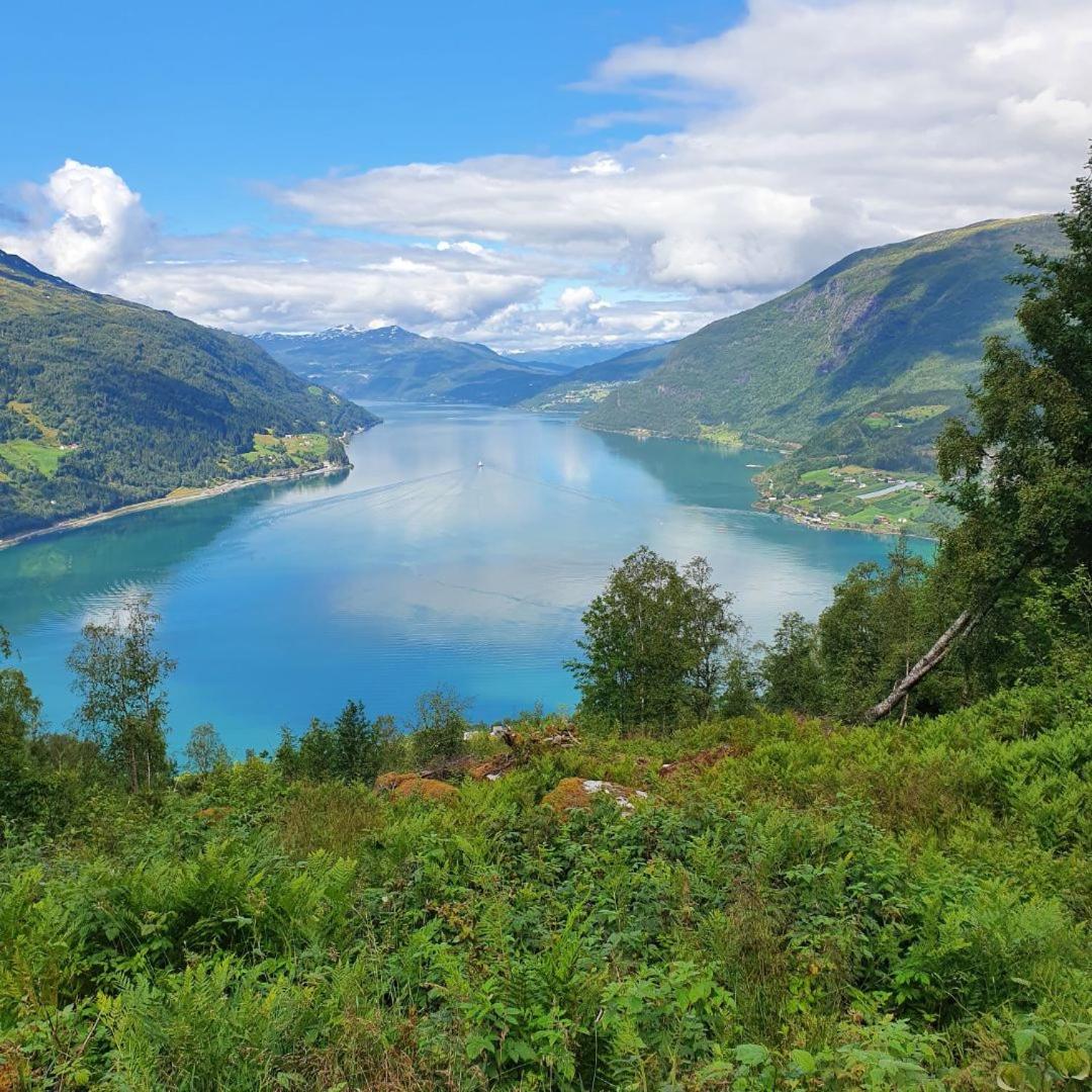 Olden Panorama Apartments - Fjord view - High Standard
