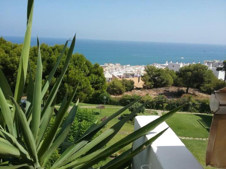 Deluxe Sea View Apartments view 4