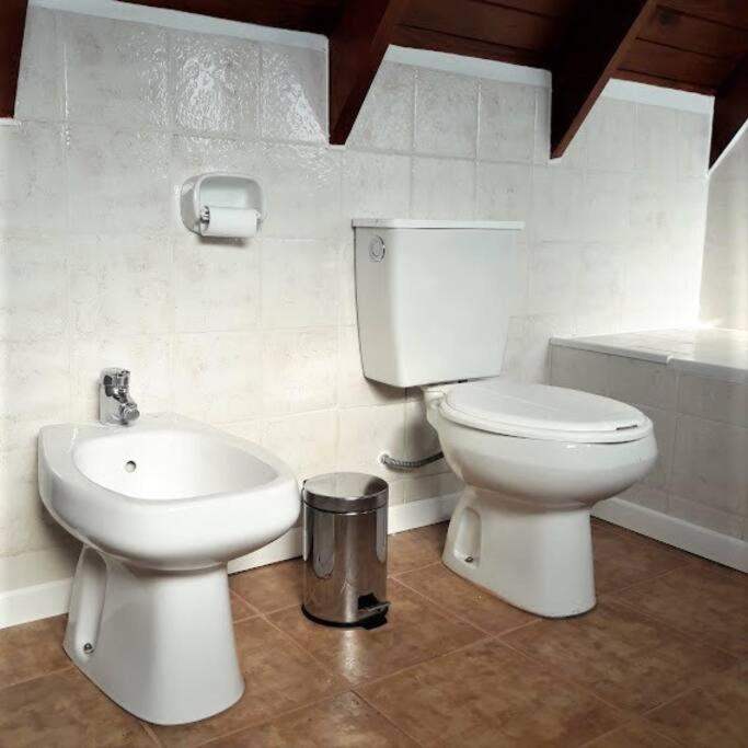 Cabaña La pionera