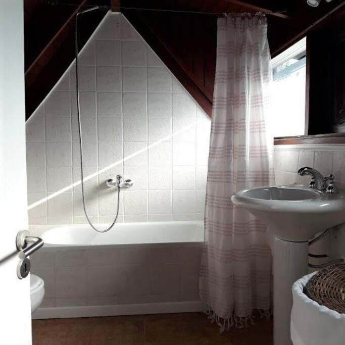 Cabaña La pionera